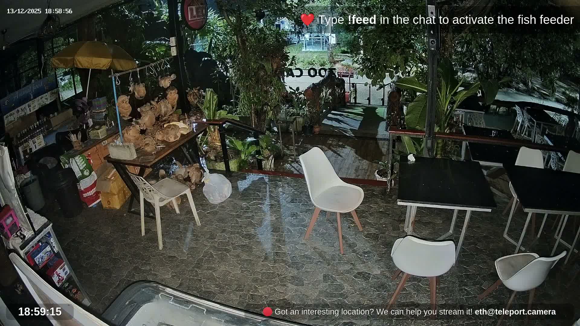 Zoo Cafe · Feed the Life of Fishes, Emus, Deers, Turtles, Malas  Live Cam  - Amphoe Ko Pha - Ngan, Surat Thani, Thailand