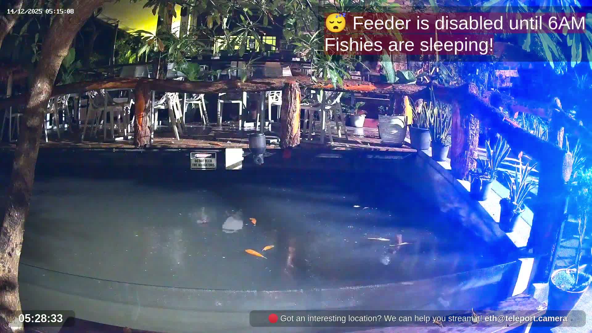 Zoo Cafe · Feed the Life of Fishes, Emus, Deers, Turtles, Malas  Live Cam  - Amphoe Ko Pha - Ngan, Surat Thani, Thailand