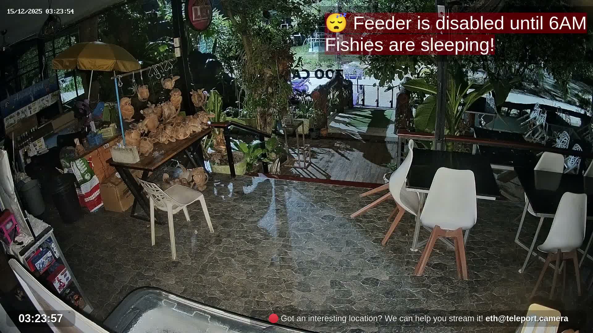 Zoo Cafe · Feed the Life of Fishes, Emus, Deers, Turtles, Malas  Live Cam  - Amphoe Ko Pha - Ngan, Surat Thani, Thailand