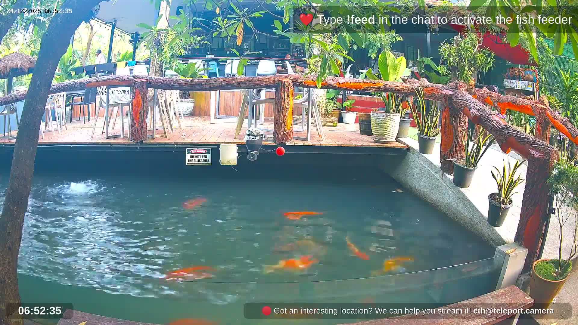 Zoo Cafe · Feed the Life of Fishes, Emus, Deers, Turtles, Malas  Live Cam  - Amphoe Ko Pha - Ngan, Surat Thani, Thailand