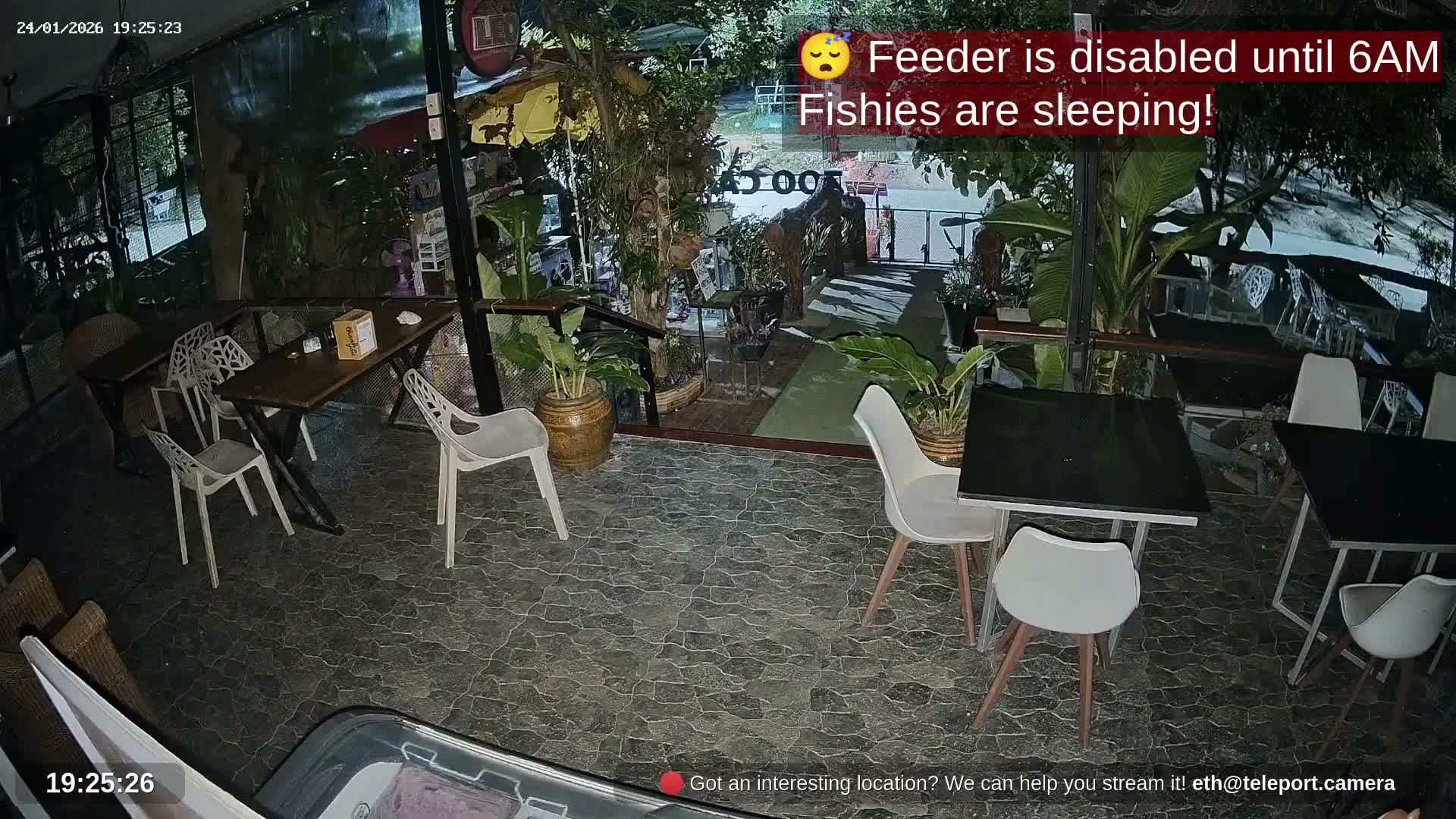 Zoo Cafe · Feed the Life of Fishes, Emus, Deers, Turtles, Malas  Live Cam  - Amphoe Ko Pha - Ngan, Surat Thani, Thailand