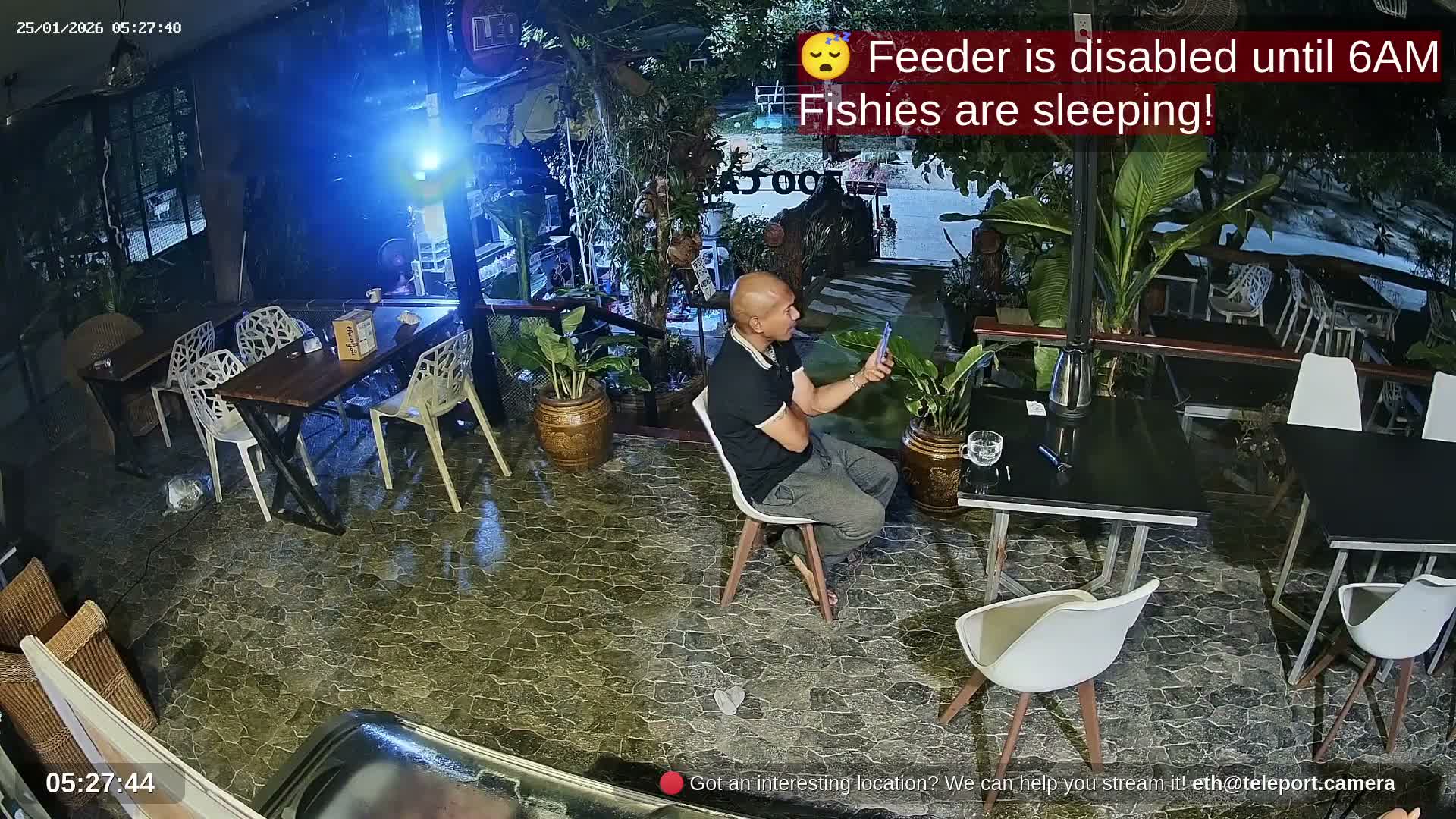 Zoo Cafe · Feed the Life of Fishes, Emus, Deers, Turtles, Malas  Live Cam  - Amphoe Ko Pha - Ngan, Surat Thani, Thailand