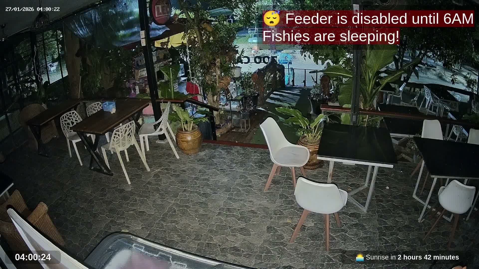 Zoo Cafe · Feed the Life of Fishes, Emus, Deers, Turtles, Malas  Live Cam  - Amphoe Ko Pha - Ngan, Surat Thani, Thailand