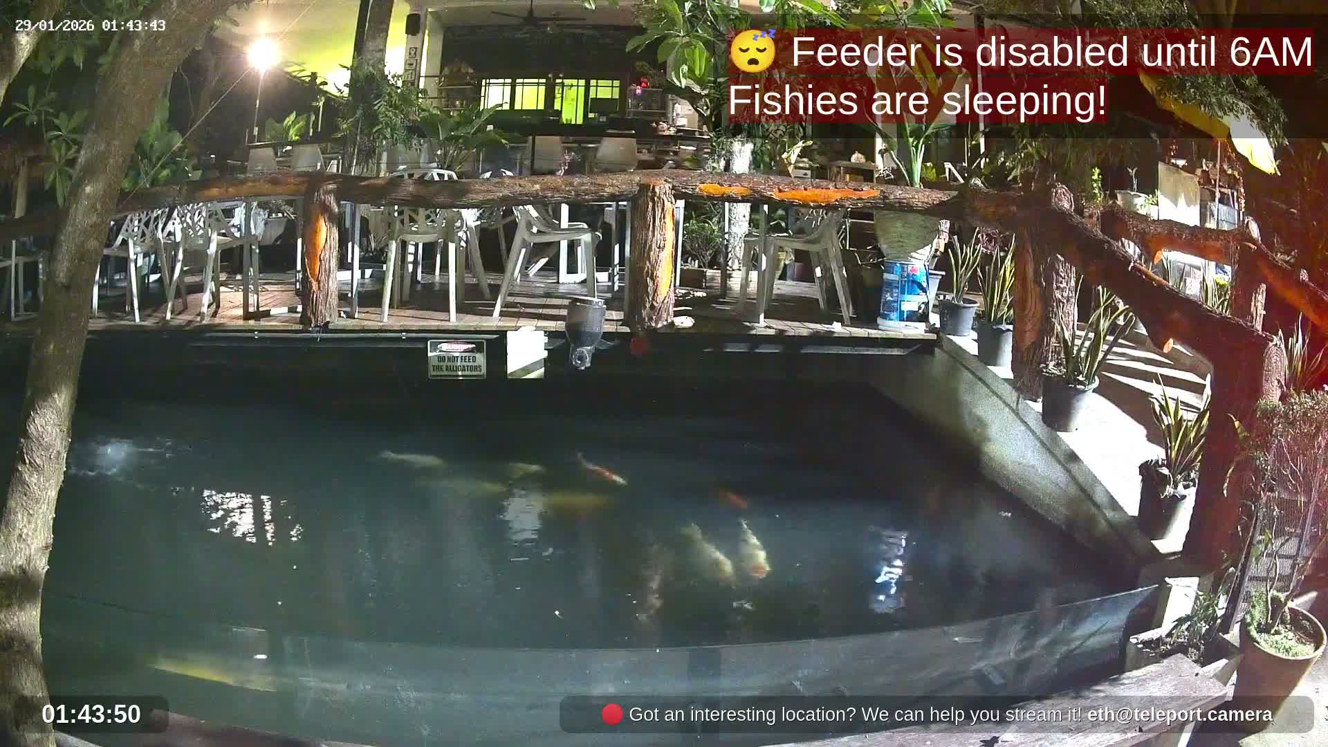 Zoo Cafe · Feed the Life of Fishes, Emus, Deers, Turtles, Malas  Live Cam  - Amphoe Ko Pha - Ngan, Surat Thani, Thailand