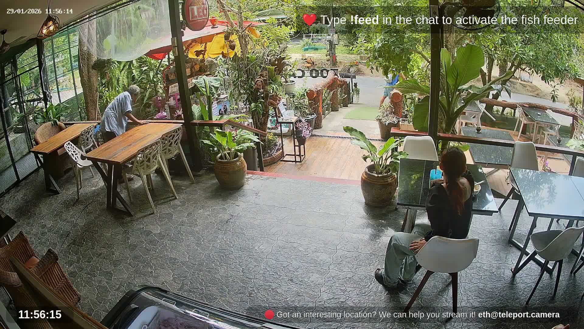 Zoo Cafe · Feed the Life of Fishes, Emus, Deers, Turtles, Malas  Live Cam  - Amphoe Ko Pha - Ngan, Surat Thani, Thailand