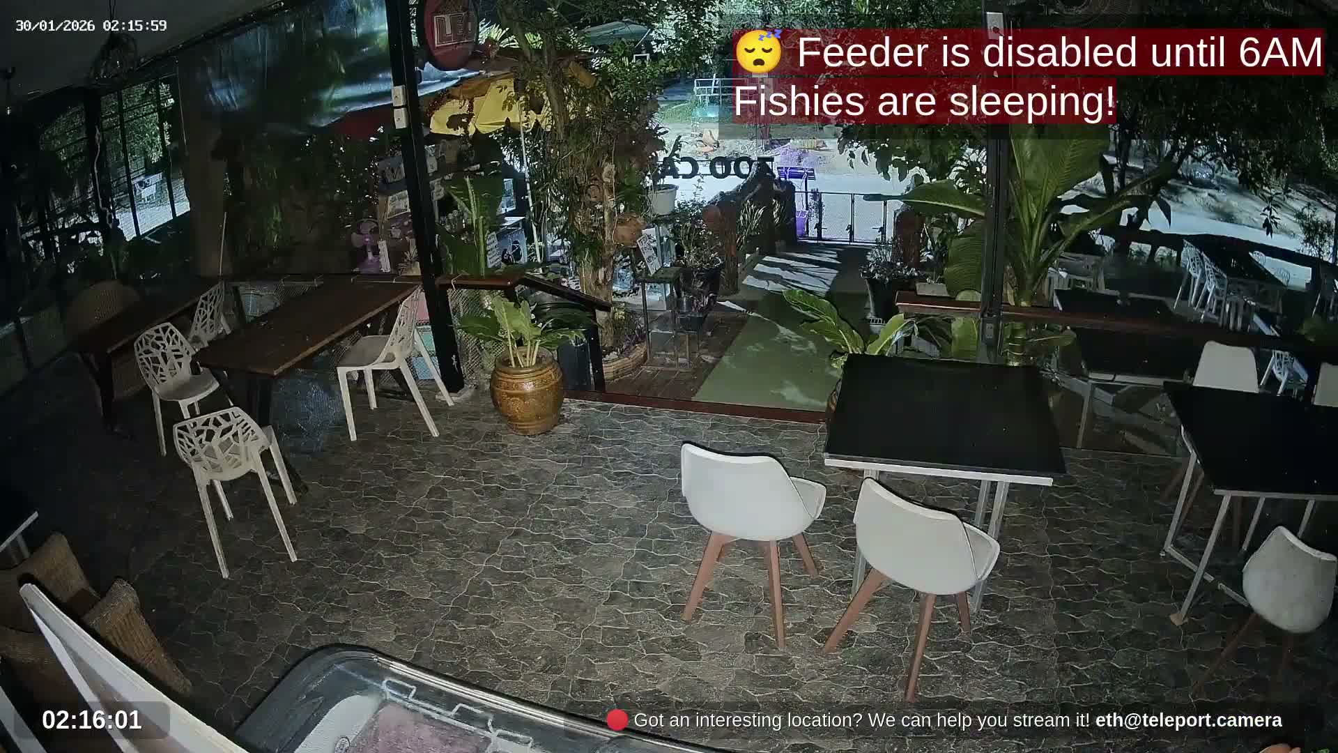 Zoo Cafe · Feed the Life of Fishes, Emus, Deers, Turtles, Malas  Live Cam  - Amphoe Ko Pha - Ngan, Surat Thani, Thailand