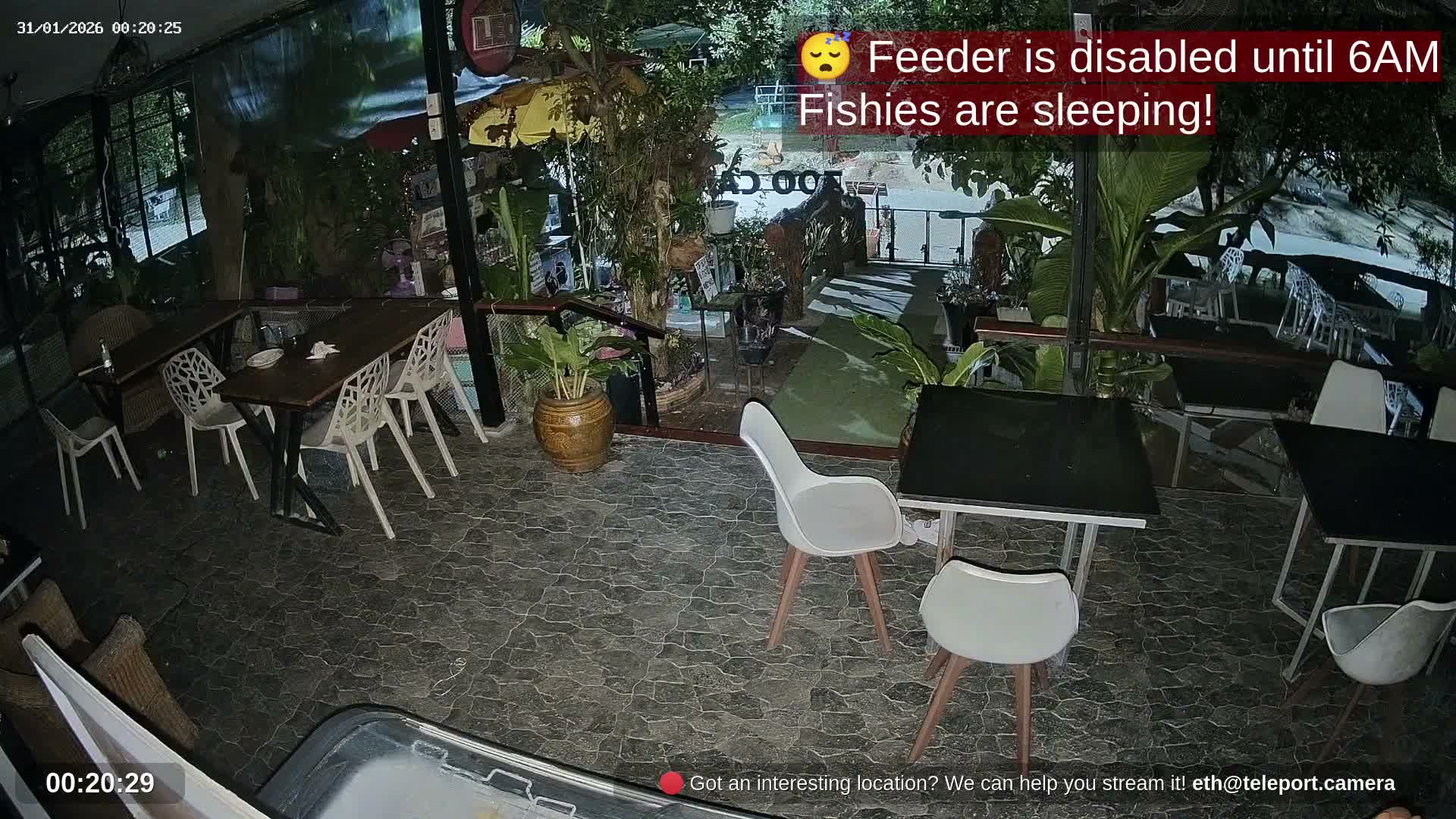 Zoo Cafe · Feed the Life of Fishes, Emus, Deers, Turtles, Malas  Live Cam  - Amphoe Ko Pha - Ngan, Surat Thani, Thailand