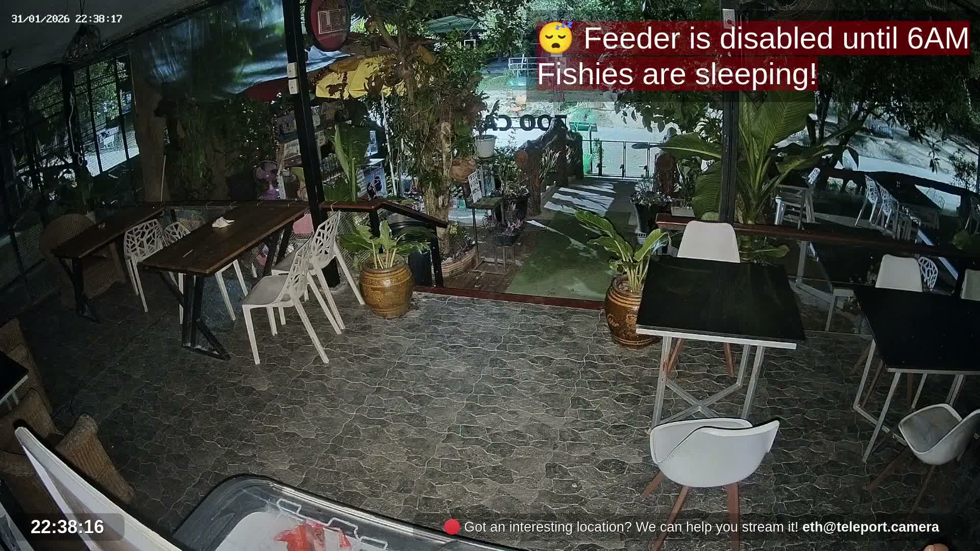 Zoo Cafe · Feed the Life of Fishes, Emus, Deers, Turtles, Malas  Live Cam  - Amphoe Ko Pha - Ngan, Surat Thani, Thailand