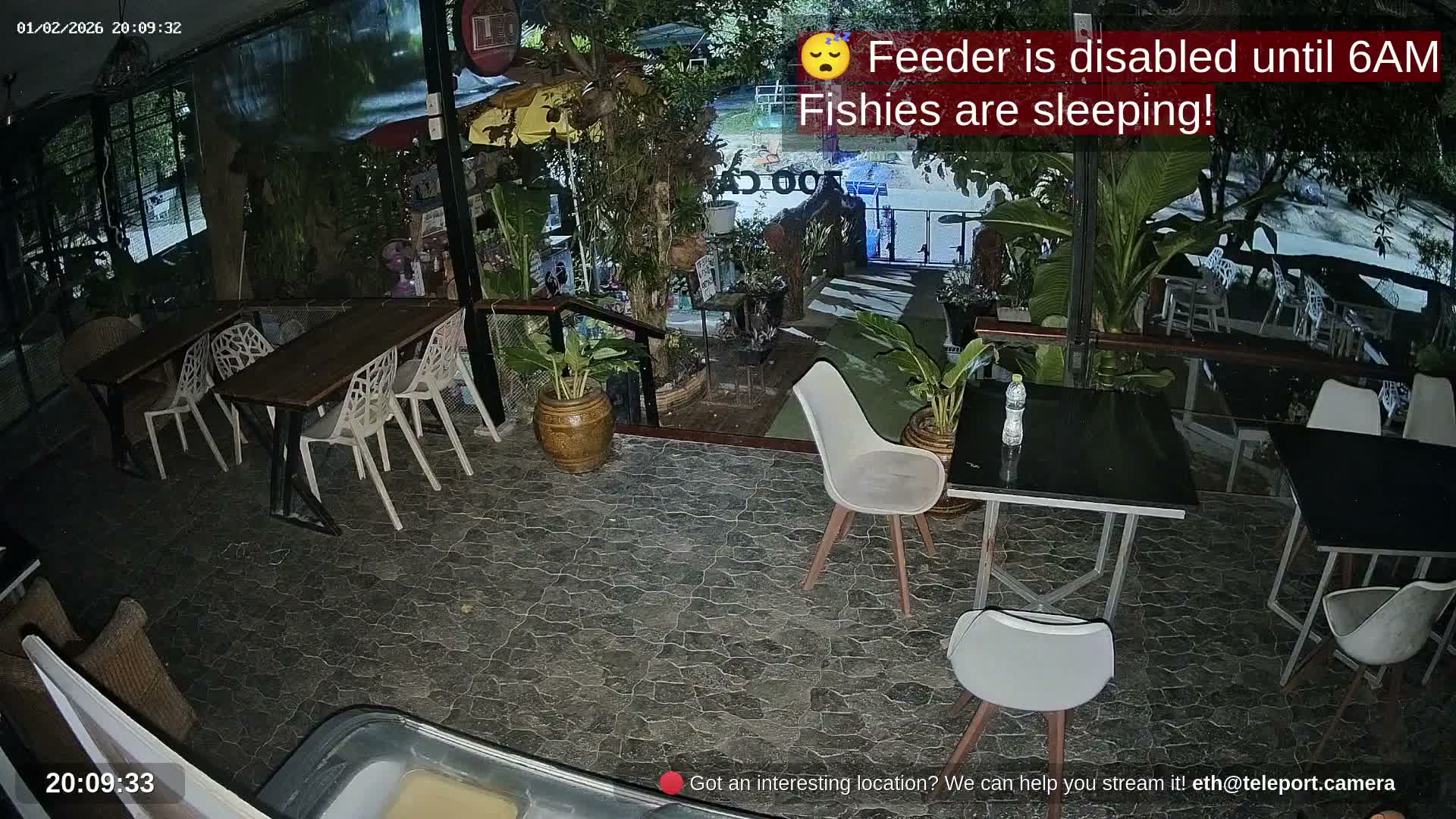 Zoo Cafe · Feed the Life of Fishes, Emus, Deers, Turtles, Malas  Live Cam  - Amphoe Ko Pha - Ngan, Surat Thani, Thailand