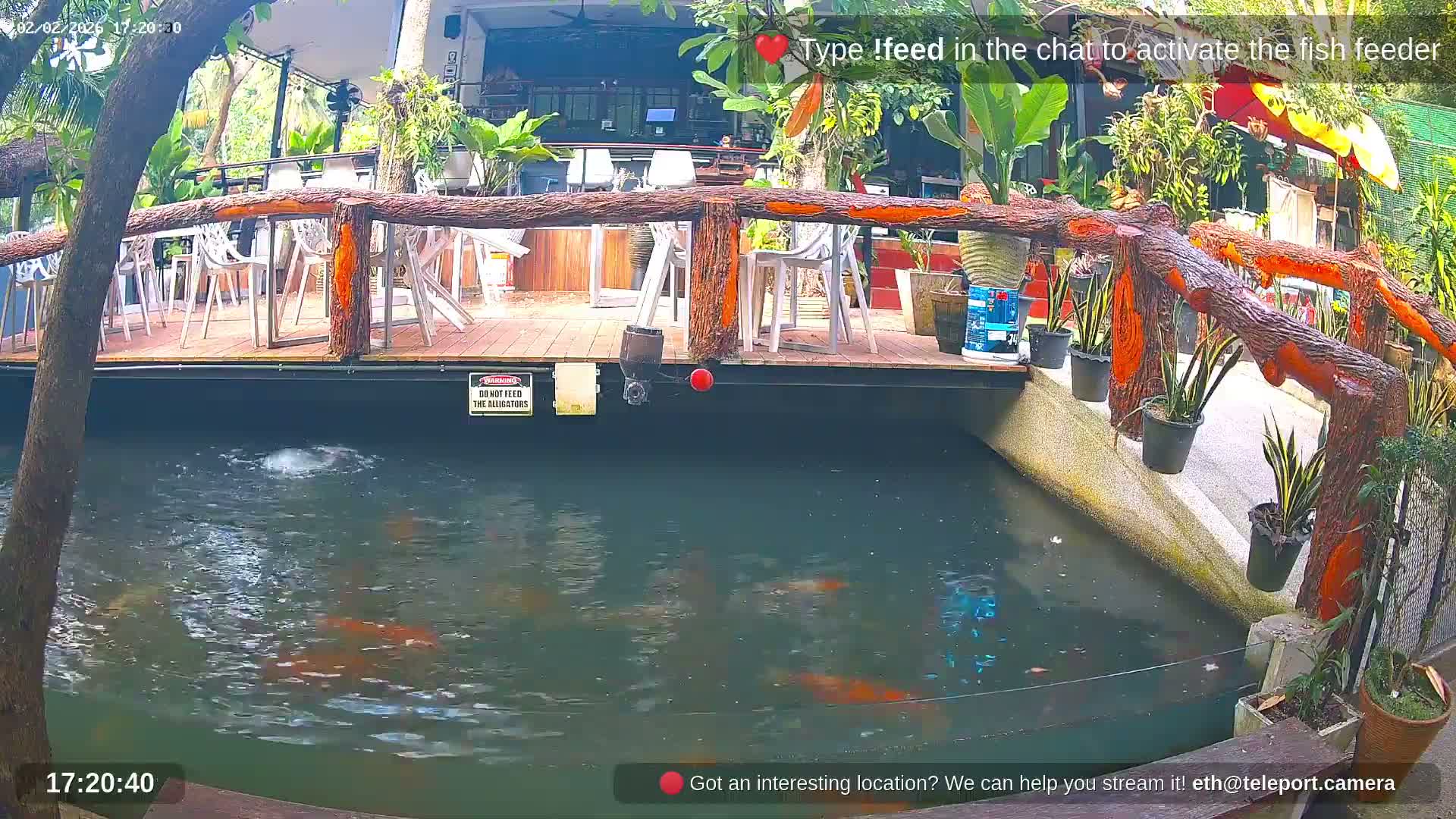Zoo Cafe · Feed the Life of Fishes, Emus, Deers, Turtles, Malas  Live Cam  - Amphoe Ko Pha - Ngan, Surat Thani, Thailand