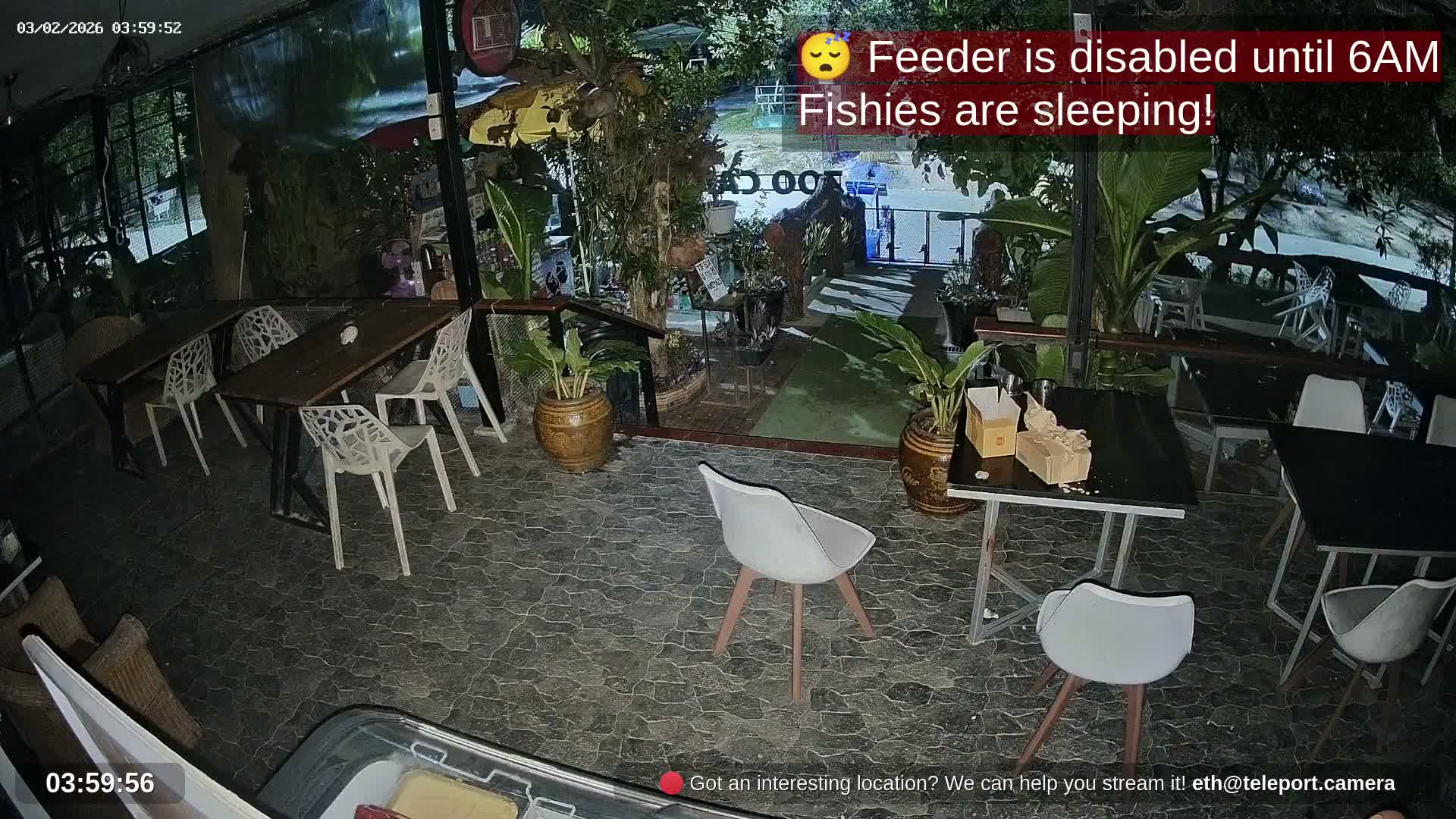 Zoo Cafe · Feed the Life of Fishes, Emus, Deers, Turtles, Malas  Live Cam  - Amphoe Ko Pha - Ngan, Surat Thani, Thailand