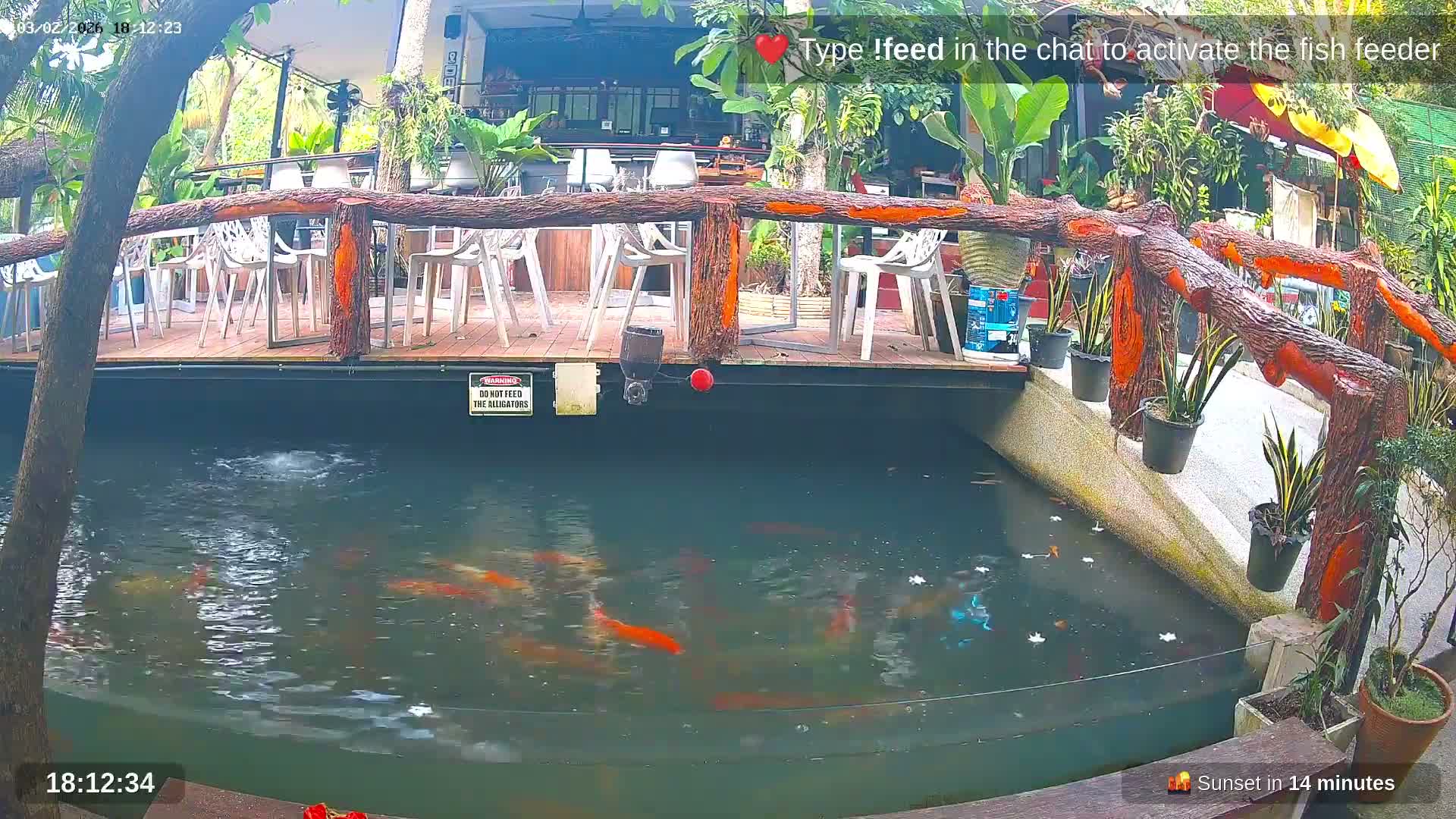 Zoo Cafe · Feed the Life of Fishes, Emus, Deers, Turtles, Malas  Live Cam  - Amphoe Ko Pha - Ngan, Surat Thani, Thailand