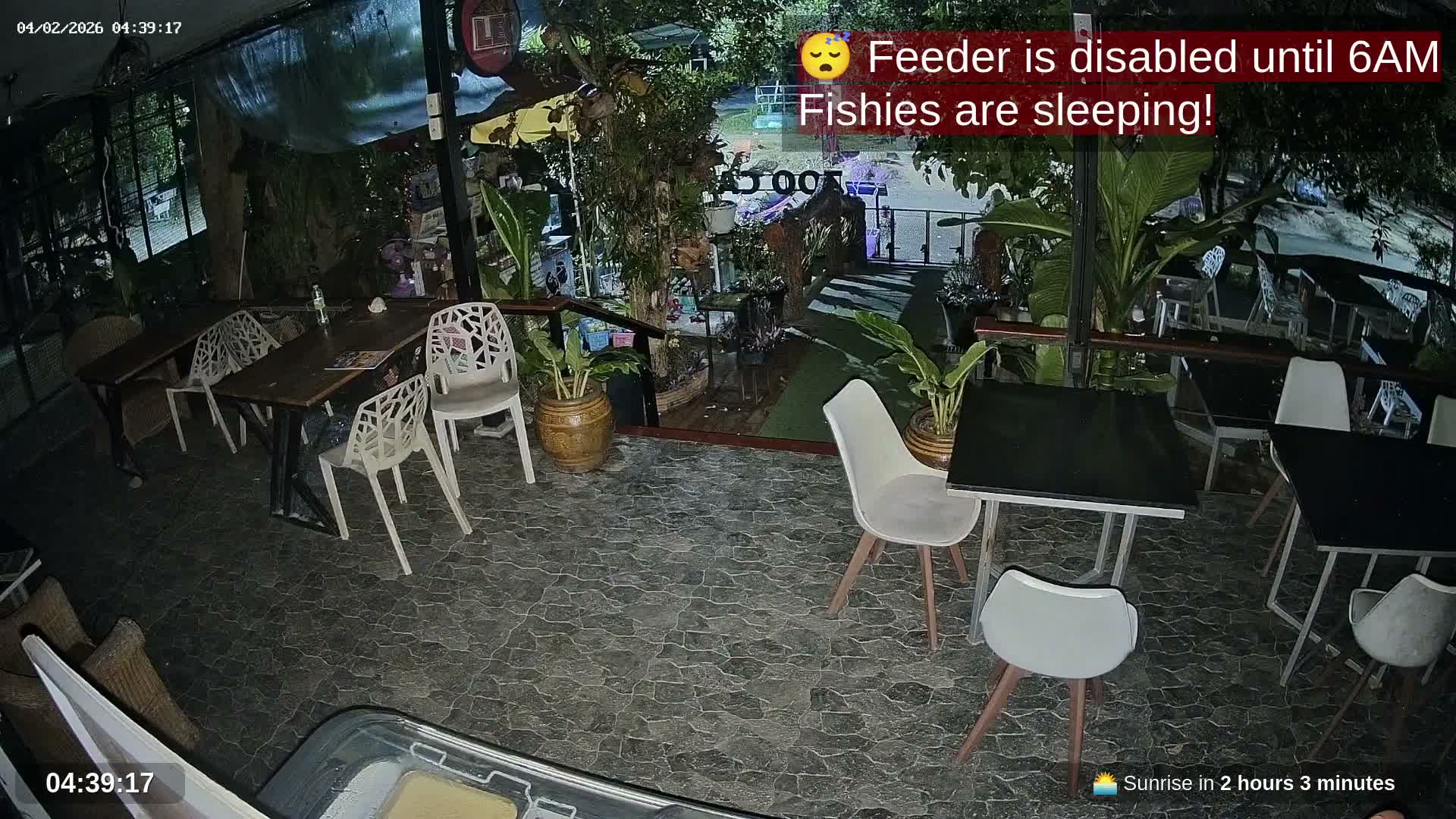 Zoo Cafe · Feed the Life of Fishes, Emus, Deers, Turtles, Malas  Live Cam  - Amphoe Ko Pha - Ngan, Surat Thani, Thailand