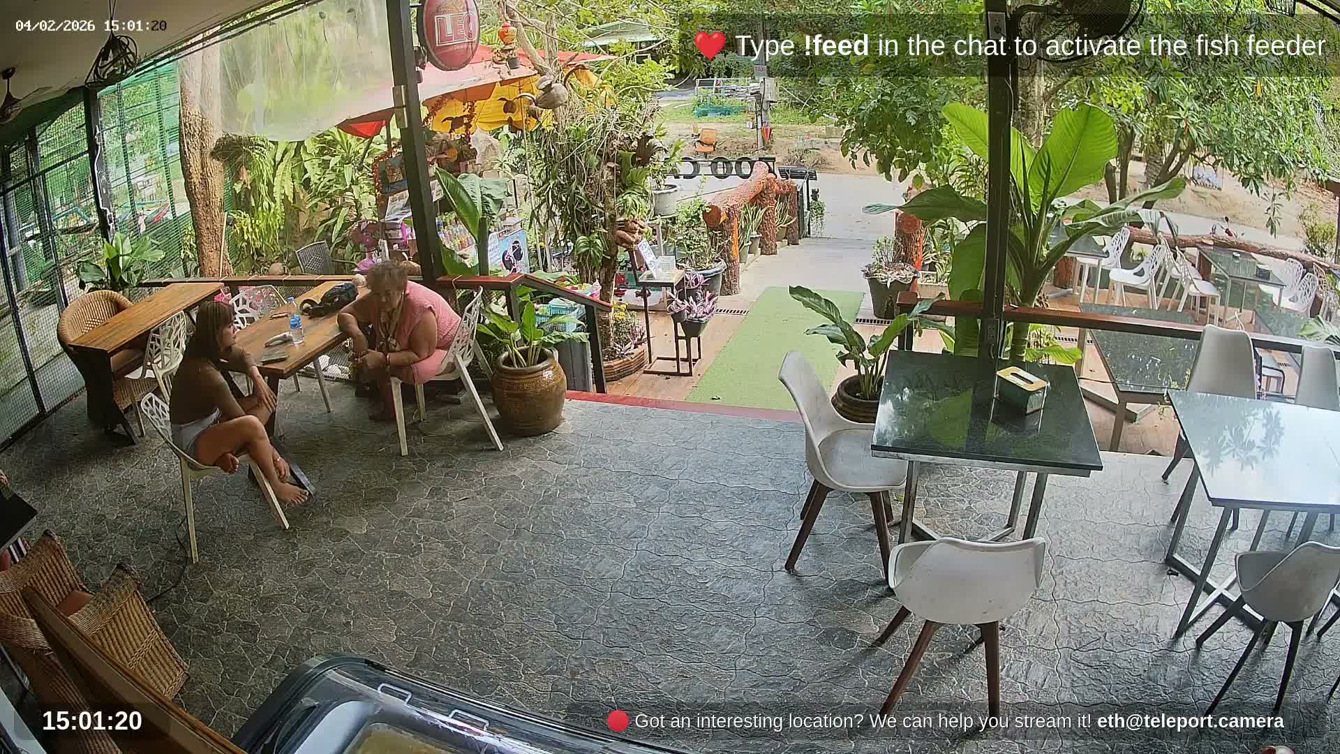Zoo Cafe · Feed the Life of Fishes, Emus, Deers, Turtles, Malas  Live Cam  - Amphoe Ko Pha - Ngan, Surat Thani, Thailand