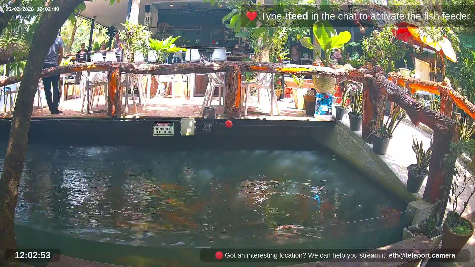 Zoo Cafe · Feed the Life of Fishes, Emus, Deers, Turtles, Malas  Live Cam  - Amphoe Ko Pha - Ngan, Surat Thani, Thailand