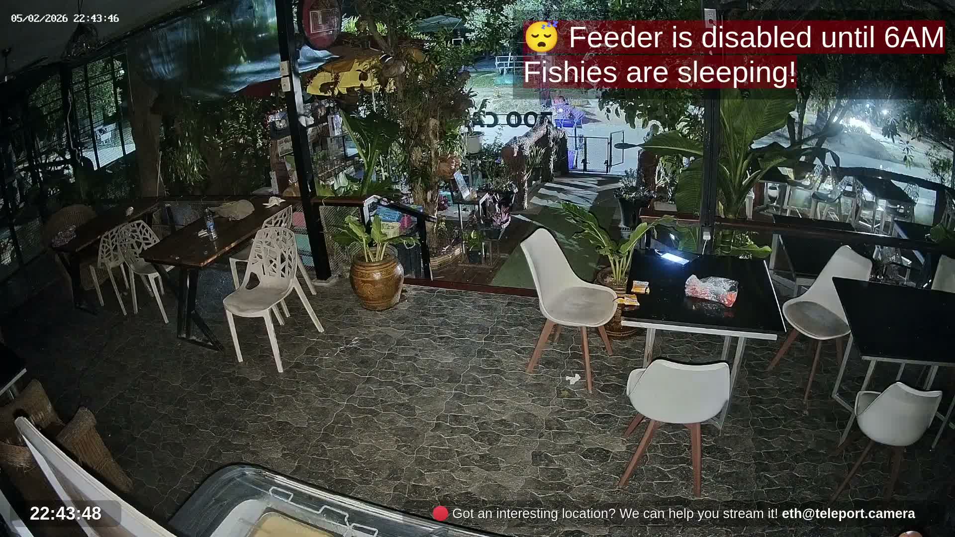 Zoo Cafe · Feed the Life of Fishes, Emus, Deers, Turtles, Malas  Live Cam  - Amphoe Ko Pha - Ngan, Surat Thani, Thailand