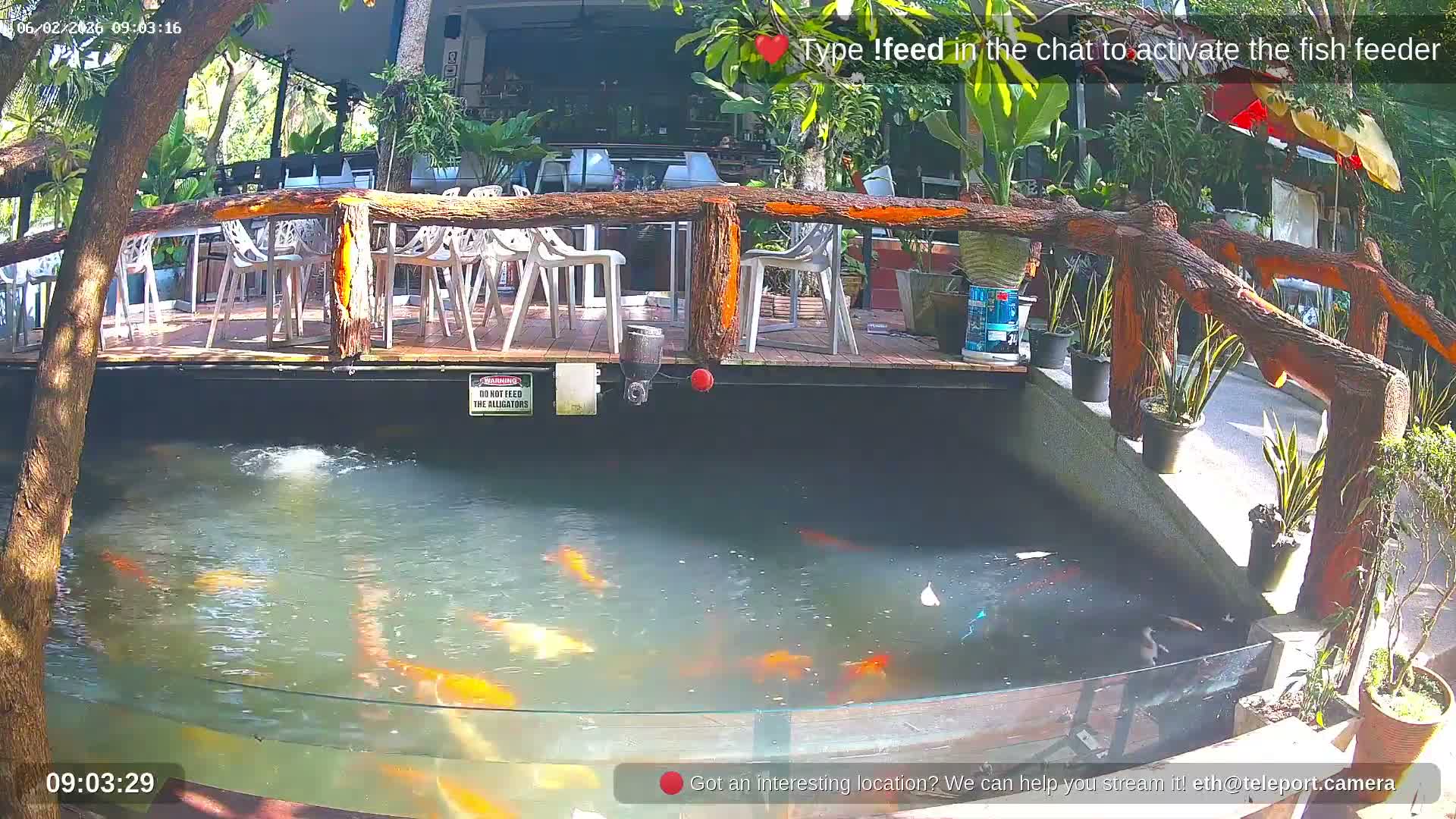 Zoo Cafe · Feed the Life of Fishes, Emus, Deers, Turtles, Malas  Live Cam  - Amphoe Ko Pha - Ngan, Surat Thani, Thailand