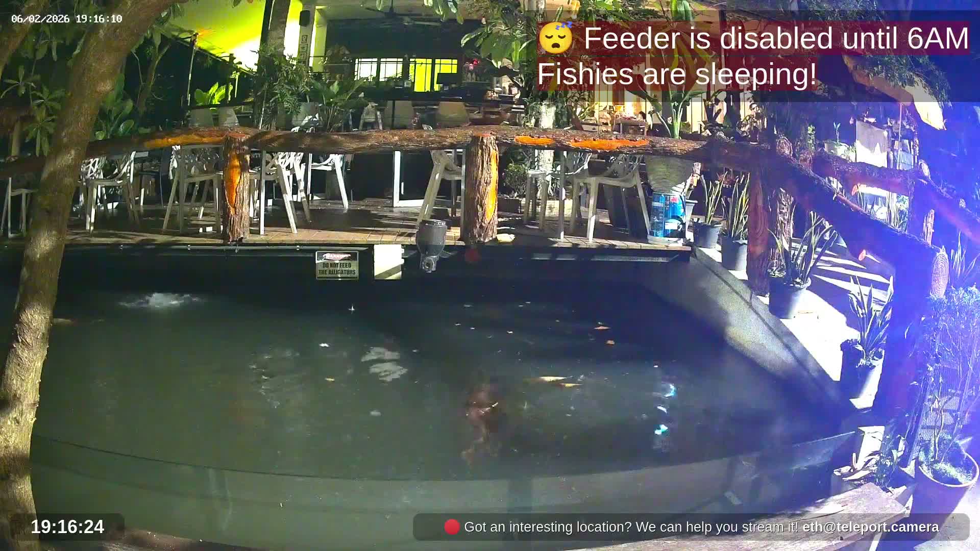 Zoo Cafe · Feed the Life of Fishes, Emus, Deers, Turtles, Malas  Live Cam  - Amphoe Ko Pha - Ngan, Surat Thani, Thailand