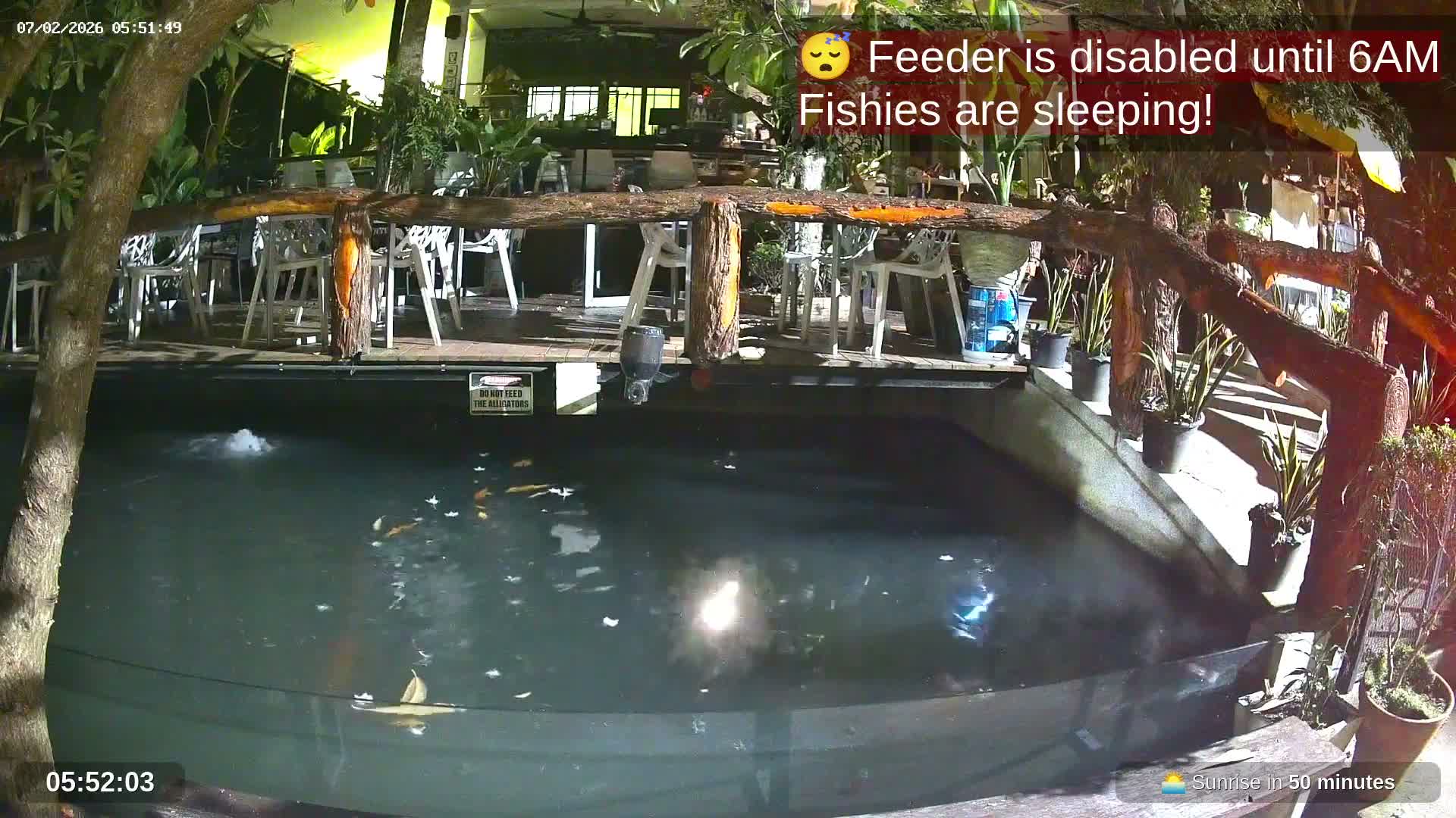 Zoo Cafe · Feed the Life of Fishes, Emus, Deers, Turtles, Malas  Live Cam  - Amphoe Ko Pha - Ngan, Surat Thani, Thailand