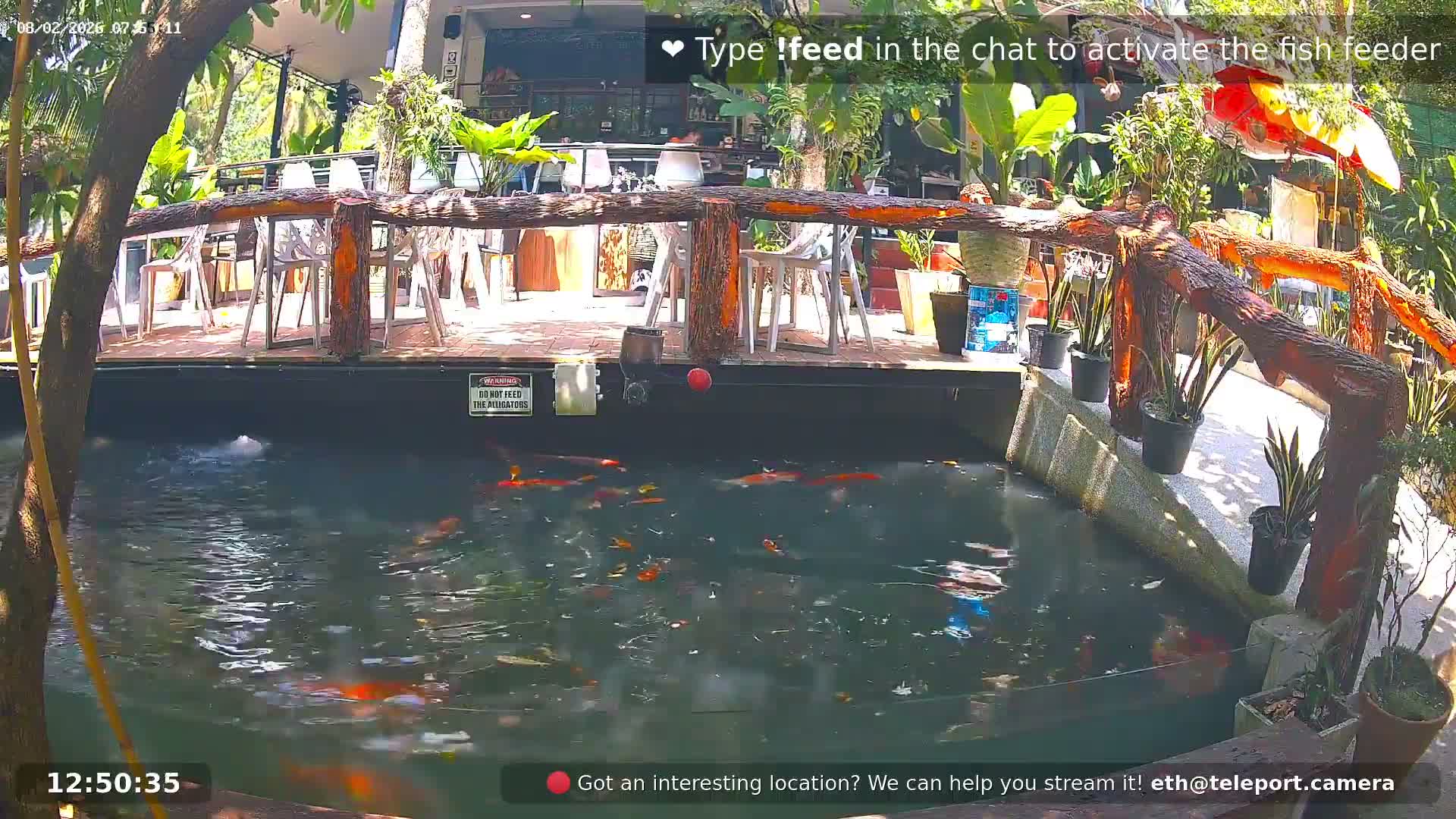 Zoo Cafe · Feed the Life of Fishes, Emus, Deers, Turtles, Malas  Live Cam  - Amphoe Ko Pha - Ngan, Surat Thani, Thailand