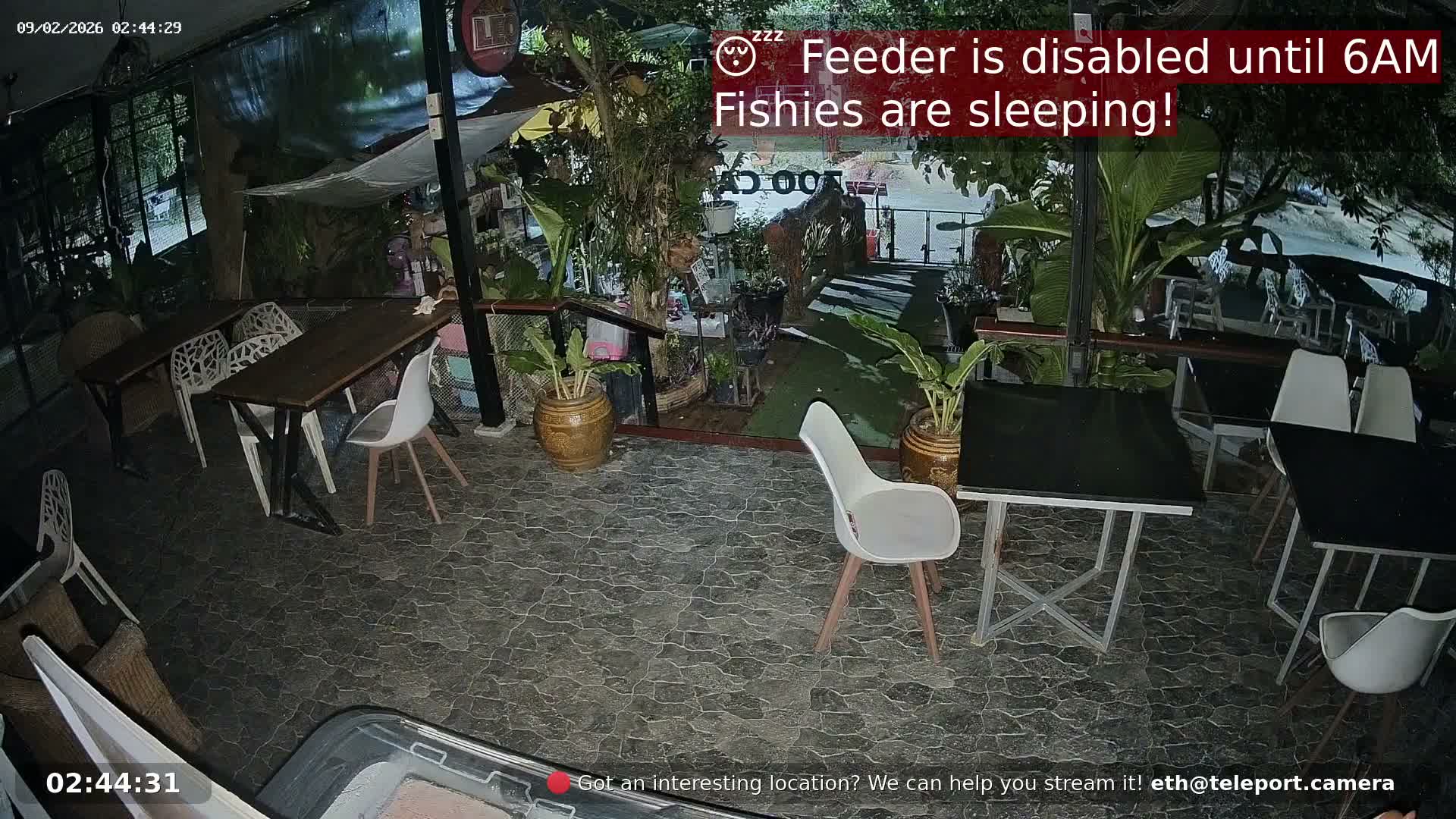 Zoo Cafe · Feed the Life of Fishes, Emus, Deers, Turtles, Malas  Live Cam  - Amphoe Ko Pha - Ngan, Surat Thani, Thailand