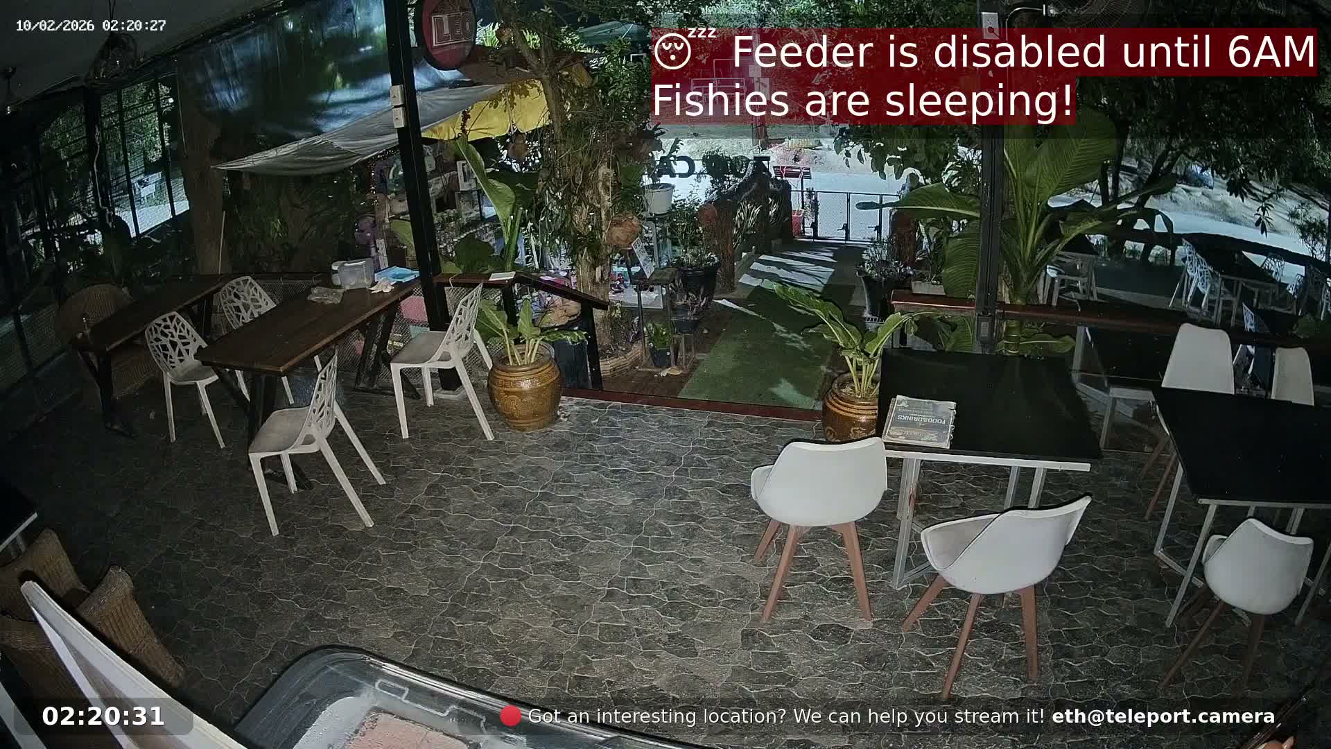 Zoo Cafe · Feed the Life of Fishes, Emus, Deers, Turtles, Malas  Live Cam  - Amphoe Ko Pha - Ngan, Surat Thani, Thailand