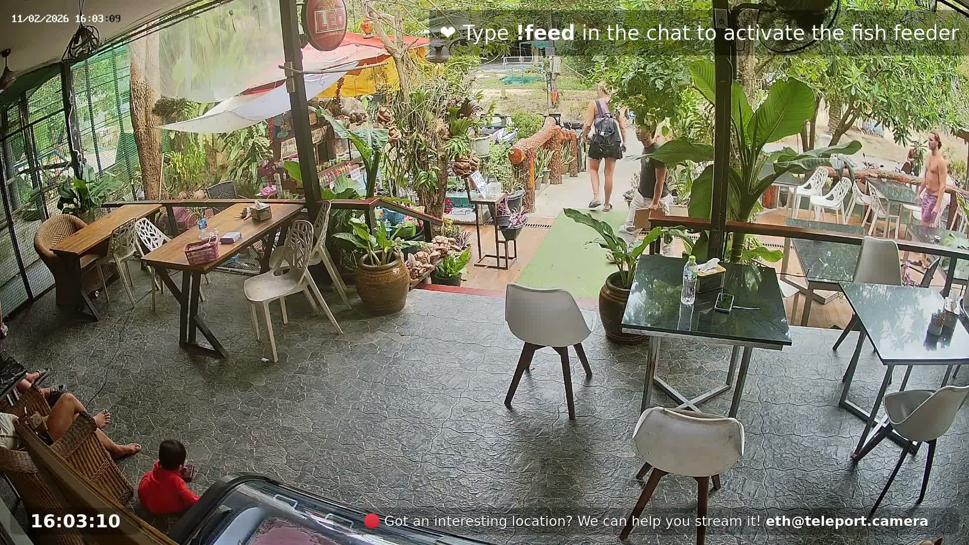 Zoo Cafe · Feed the Life of Fishes, Emus, Deers, Turtles, Malas  Live Cam  - Amphoe Ko Pha - Ngan, Surat Thani, Thailand