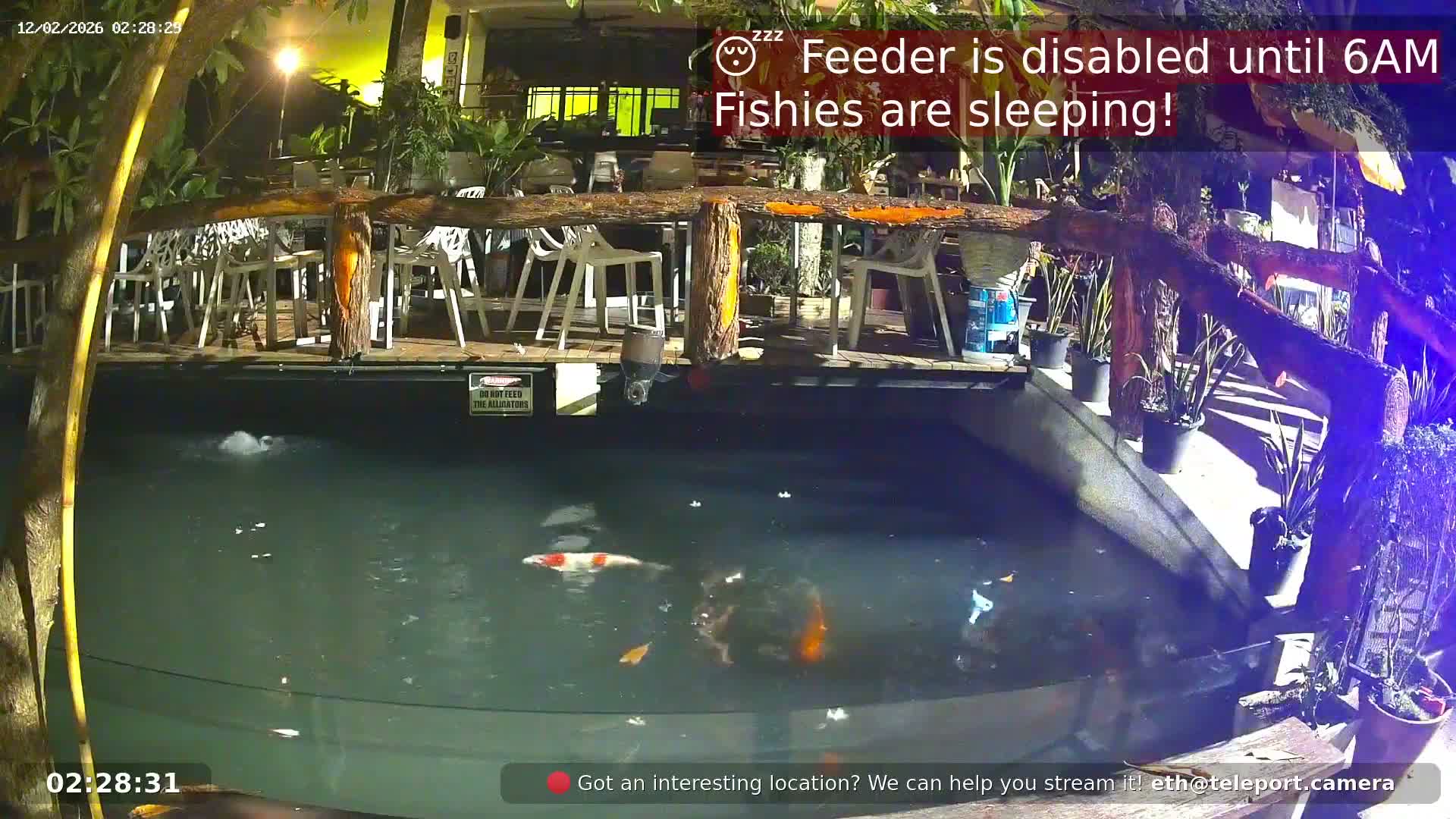 Zoo Cafe · Feed the Life of Fishes, Emus, Deers, Turtles, Malas  Live Cam  - Amphoe Ko Pha - Ngan, Surat Thani, Thailand