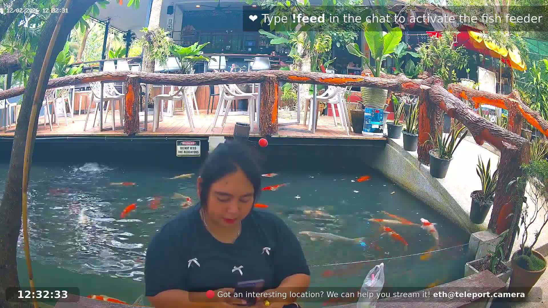 Zoo Cafe · Feed the Life of Fishes, Emus, Deers, Turtles, Malas  Live Cam  - Amphoe Ko Pha - Ngan, Surat Thani, Thailand