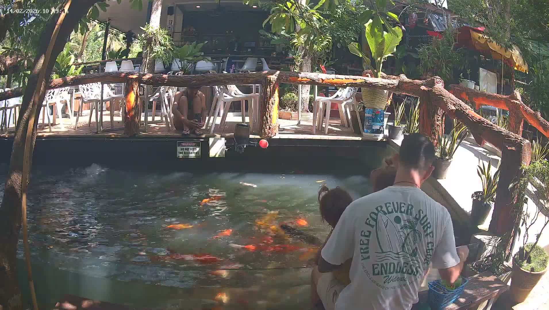Zoo Cafe · Feed the Life of Fishes, Emus, Deers, Turtles, Malas  Live Cam  - Amphoe Ko Pha - Ngan, Surat Thani, Thailand
