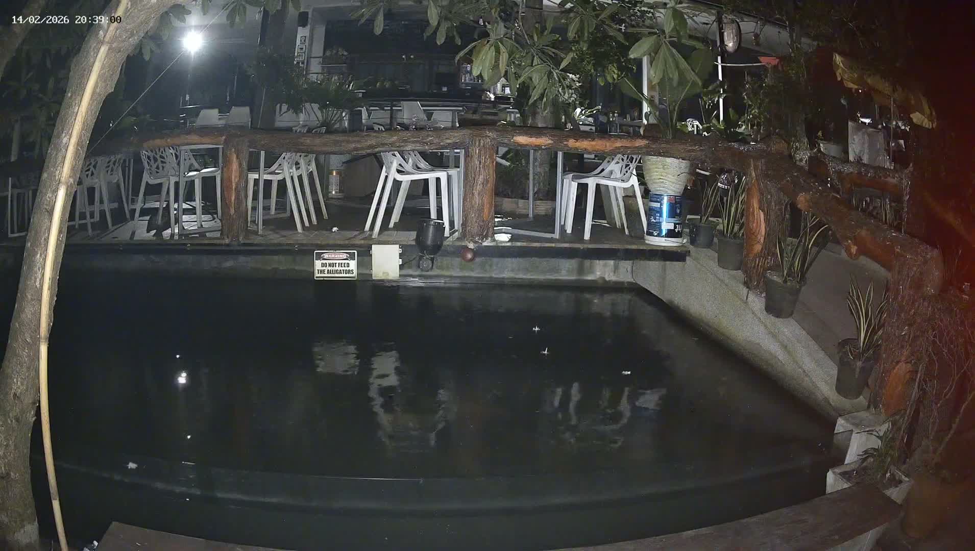 Zoo Cafe · Feed the Life of Fishes, Emus, Deers, Turtles, Malas  Live Cam  - Amphoe Ko Pha - Ngan, Surat Thani, Thailand