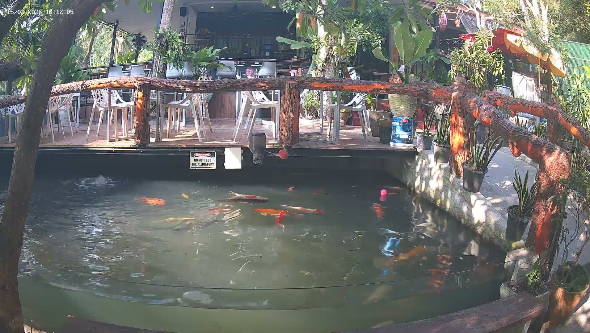 Zoo Cafe · Feed the Life of Fishes, Emus, Deers, Turtles, Malas  Live Cam  - Amphoe Ko Pha - Ngan, Surat Thani, Thailand