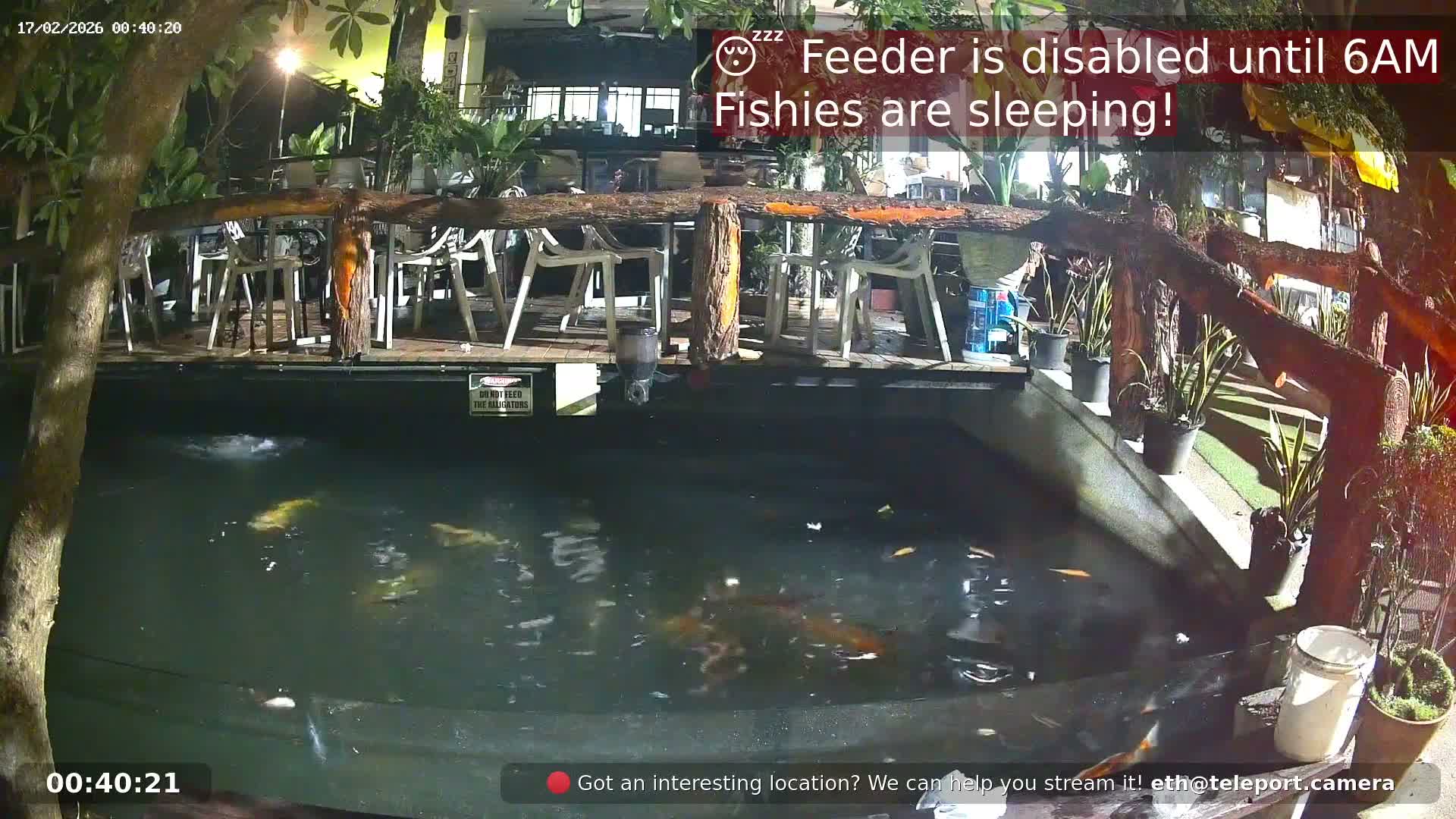 Zoo Cafe · Feed the Life of Fishes, Emus, Deers, Turtles, Malas  Live Cam  - Amphoe Ko Pha - Ngan, Surat Thani, Thailand