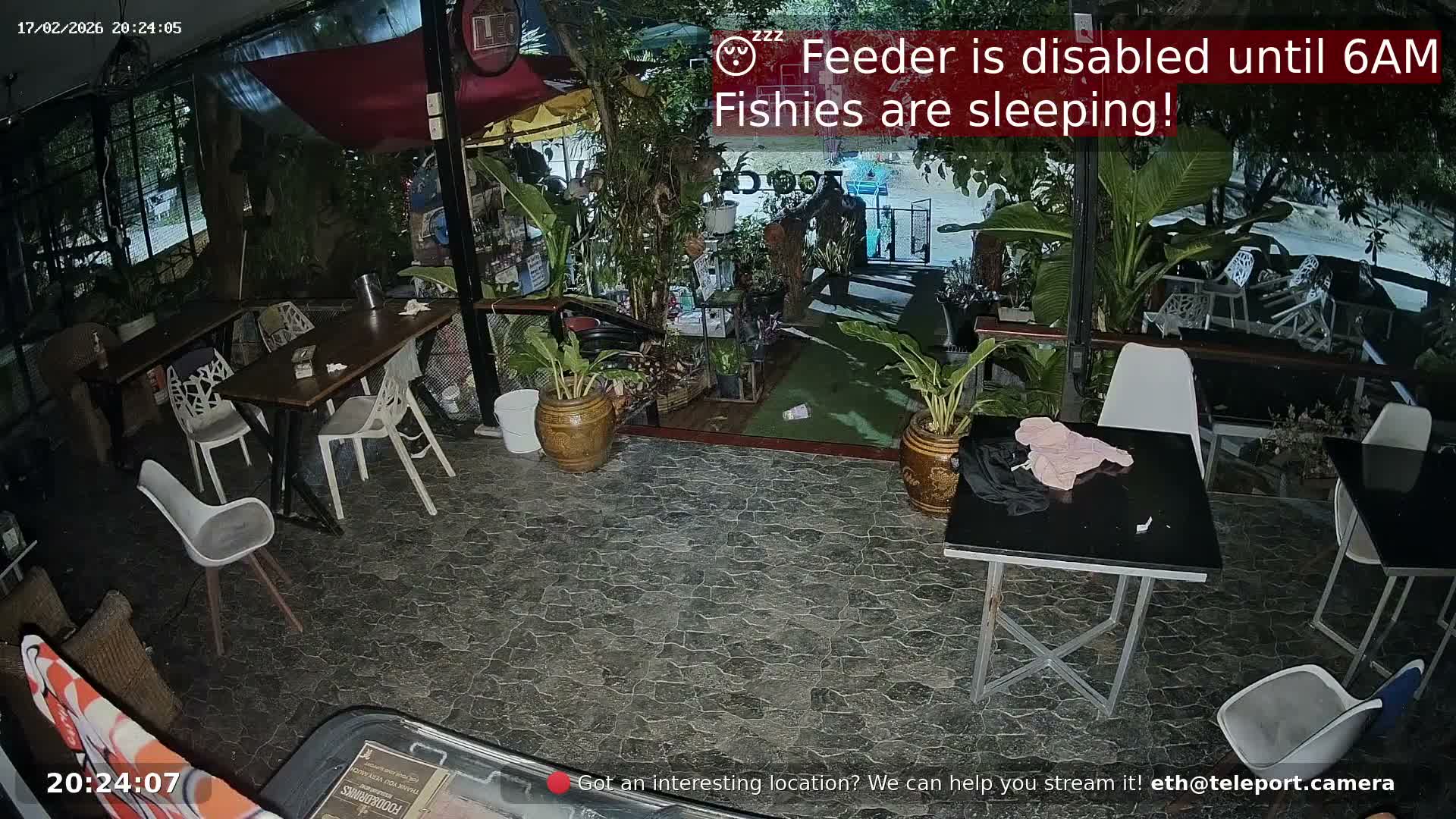 Zoo Cafe · Feed the Life of Fishes, Emus, Deers, Turtles, Malas  Live Cam  - Amphoe Ko Pha - Ngan, Surat Thani, Thailand