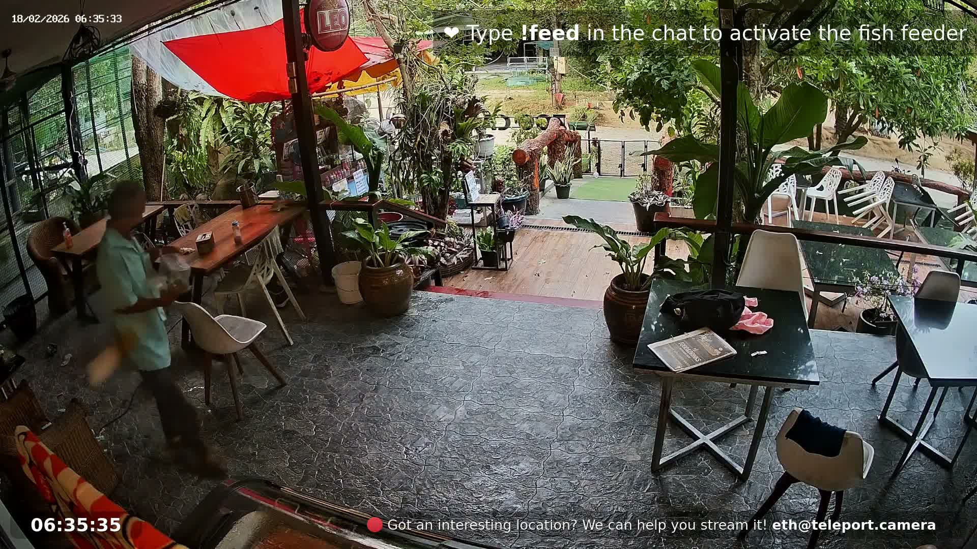 Zoo Cafe · Feed the Life of Fishes, Emus, Deers, Turtles, Malas  Live Cam  - Amphoe Ko Pha - Ngan, Surat Thani, Thailand