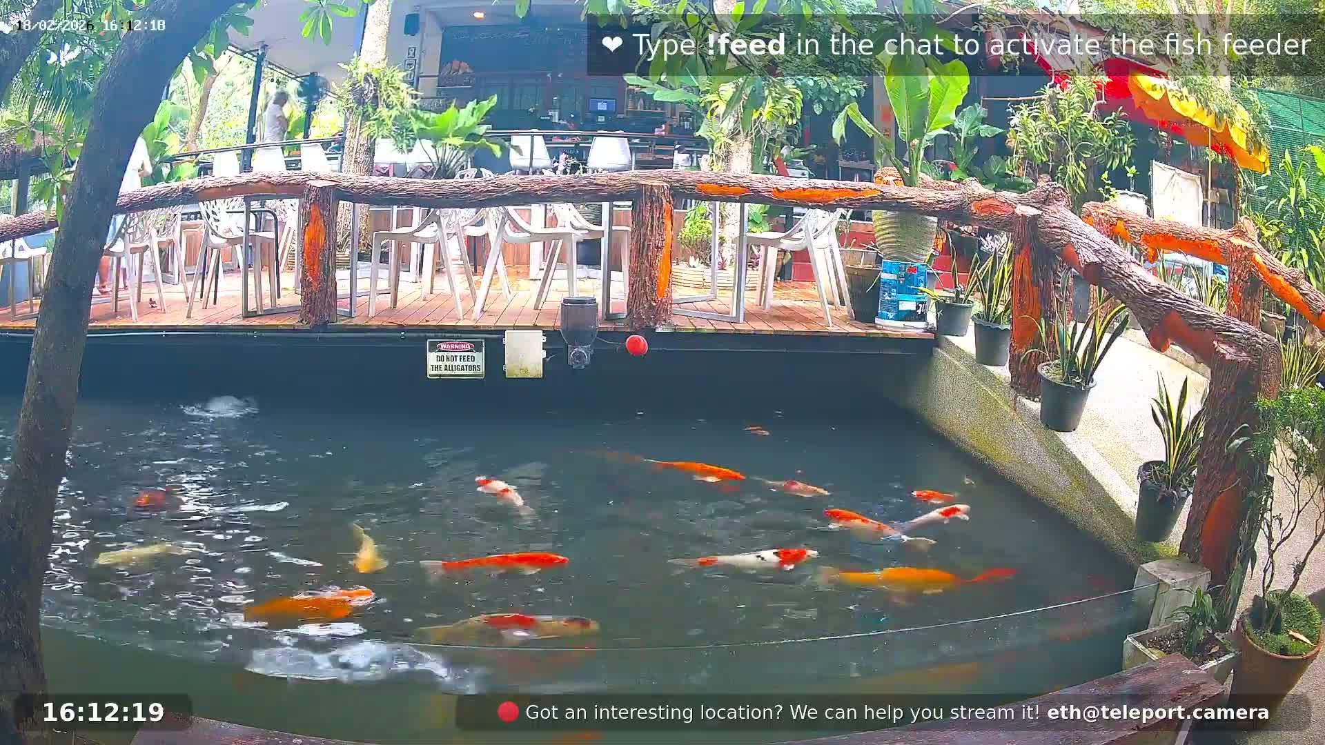 Zoo Cafe · Feed the Life of Fishes, Emus, Deers, Turtles, Malas  Live Cam  - Amphoe Ko Pha - Ngan, Surat Thani, Thailand