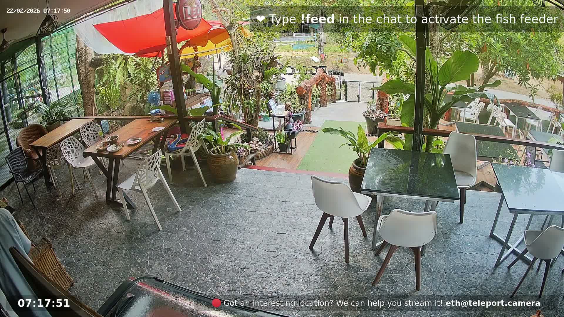 Zoo Cafe · Feed the Life of Fishes, Emus, Deers, Turtles, Malas  Live Cam  - Amphoe Ko Pha - Ngan, Surat Thani, Thailand