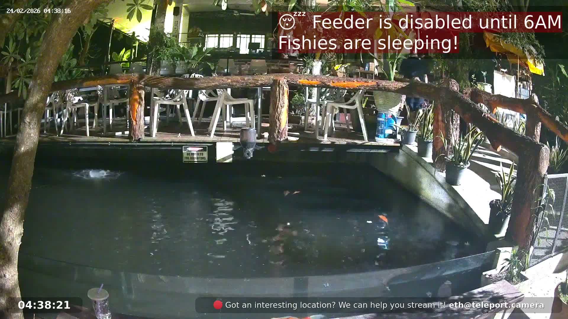 Zoo Cafe · Feed the Life of Fishes, Emus, Deers, Turtles, Malas  Live Cam  - Amphoe Ko Pha - Ngan, Surat Thani, Thailand