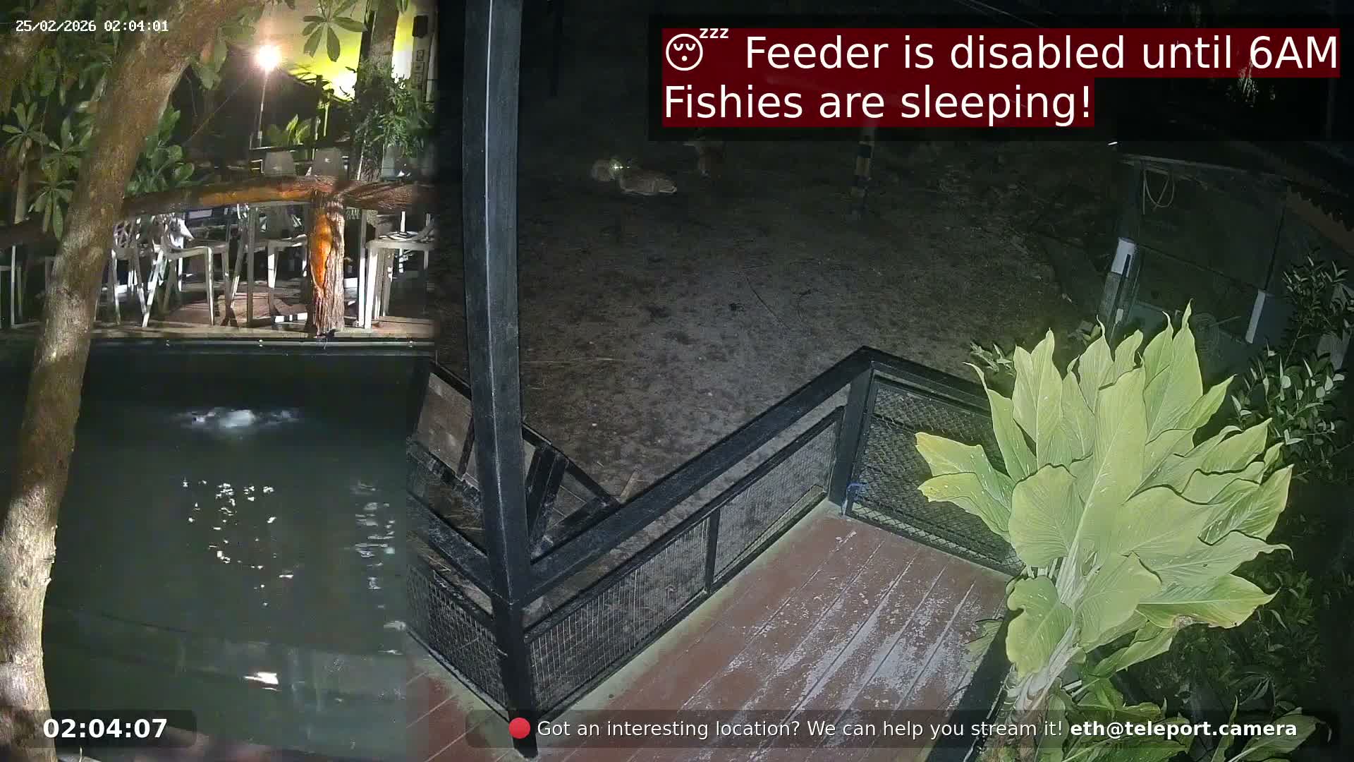 Zoo Cafe · Feed the Life of Fishes, Emus, Deers, Turtles, Malas  Live Cam  - Amphoe Ko Pha - Ngan, Surat Thani, Thailand