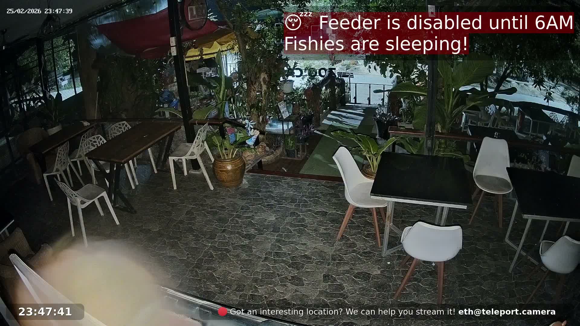 Zoo Cafe · Feed the Life of Fishes, Emus, Deers, Turtles, Malas  Live Cam  - Amphoe Ko Pha - Ngan, Surat Thani, Thailand