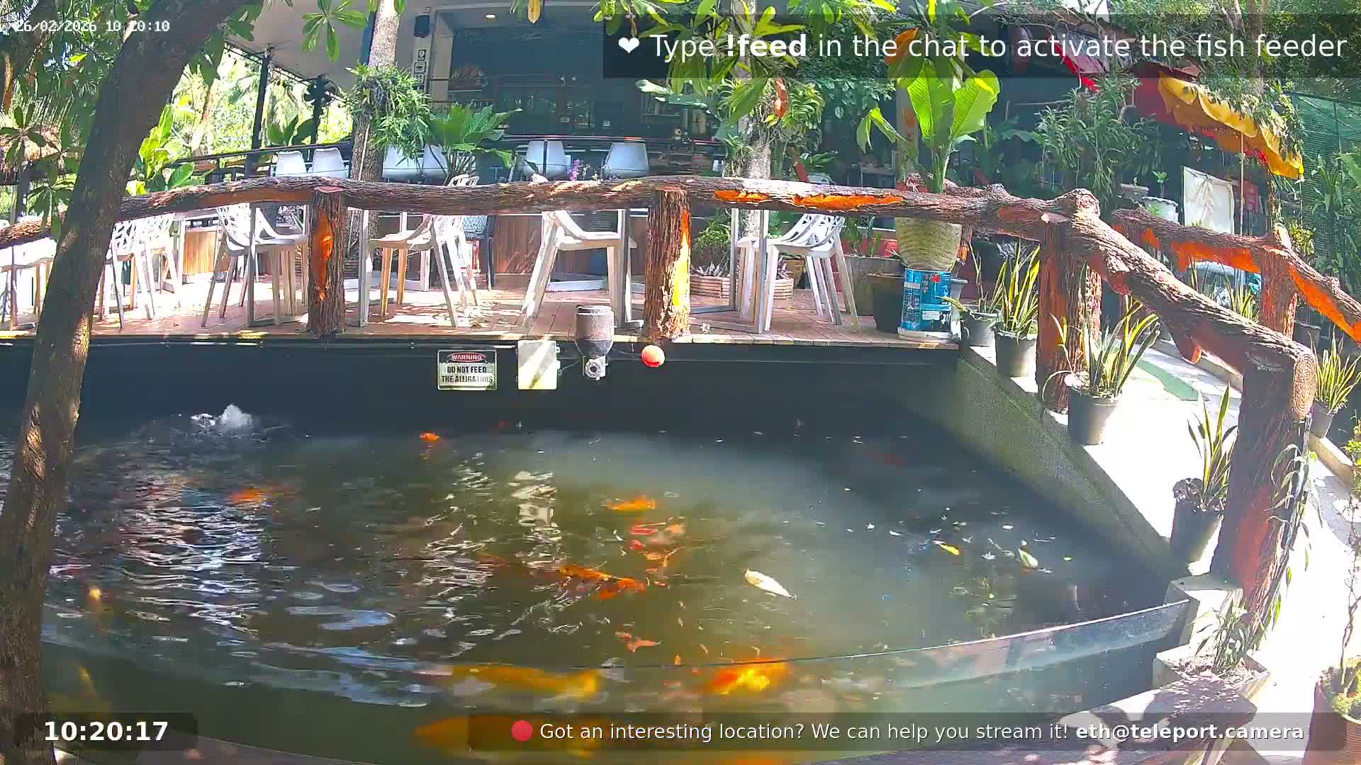 Zoo Cafe · Feed the Life of Fishes, Emus, Deers, Turtles, Malas  Live Cam  - Amphoe Ko Pha - Ngan, Surat Thani, Thailand