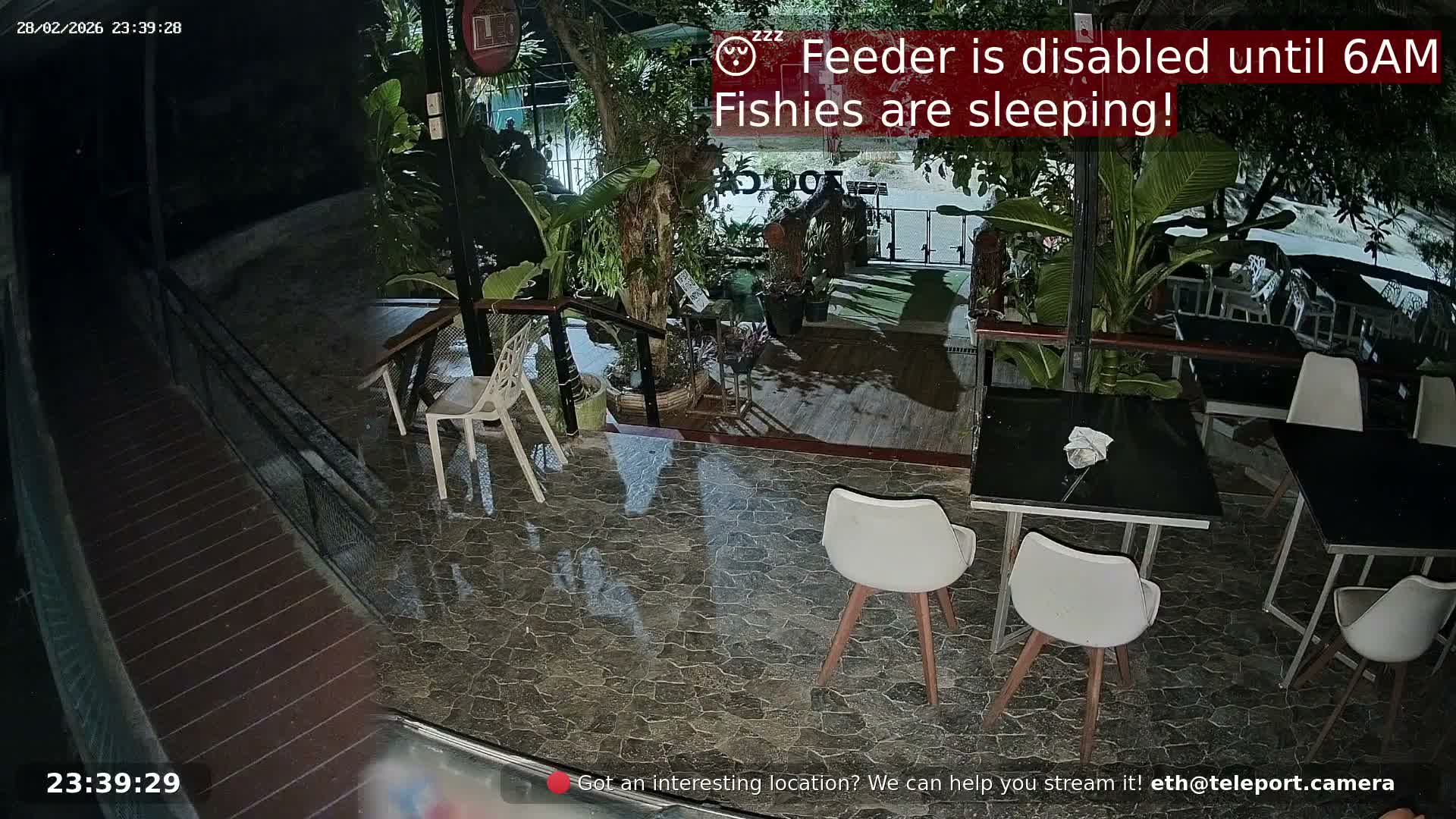 Zoo Cafe · Feed the Life of Fishes, Emus, Deers, Turtles, Malas  Live Cam  - Amphoe Ko Pha - Ngan, Surat Thani, Thailand