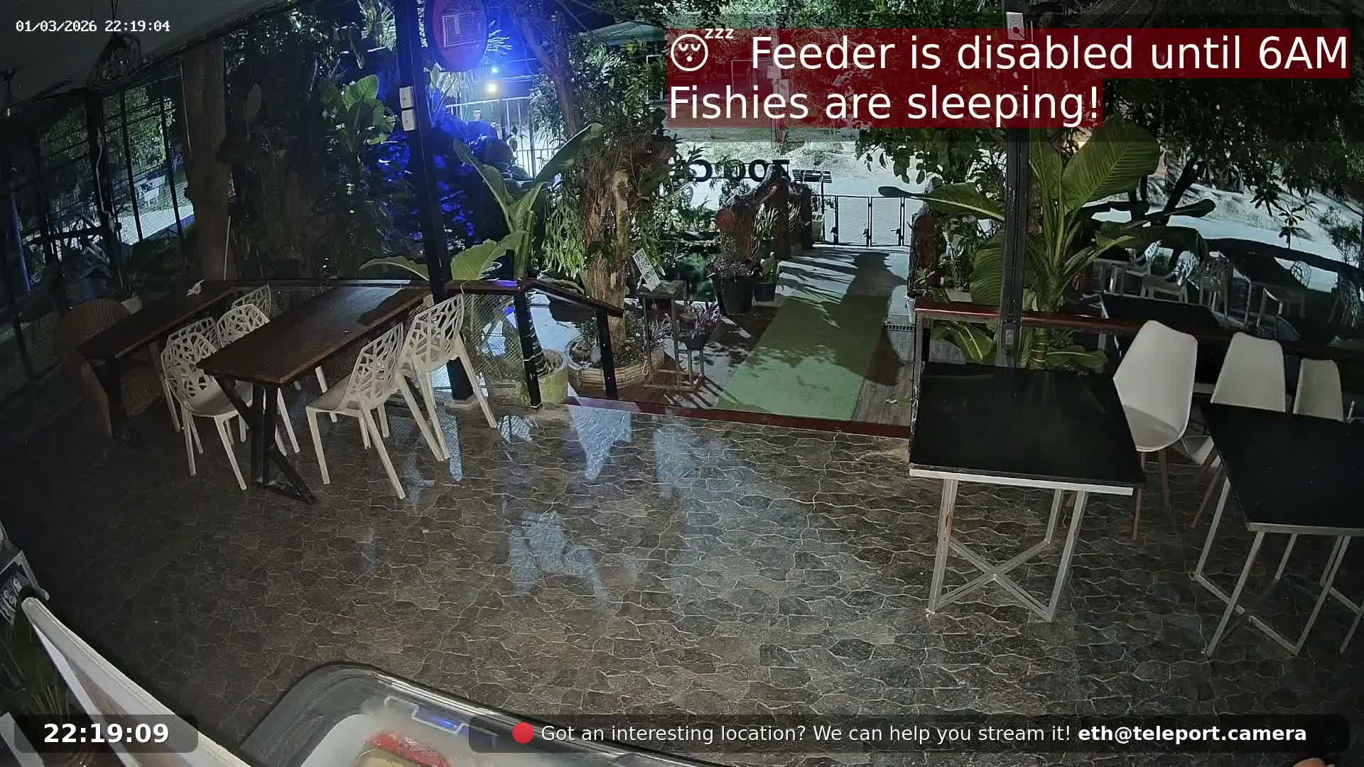 Zoo Cafe · Feed the Life of Fishes, Emus, Deers, Turtles, Malas  Live Cam  - Amphoe Ko Pha - Ngan, Surat Thani, Thailand