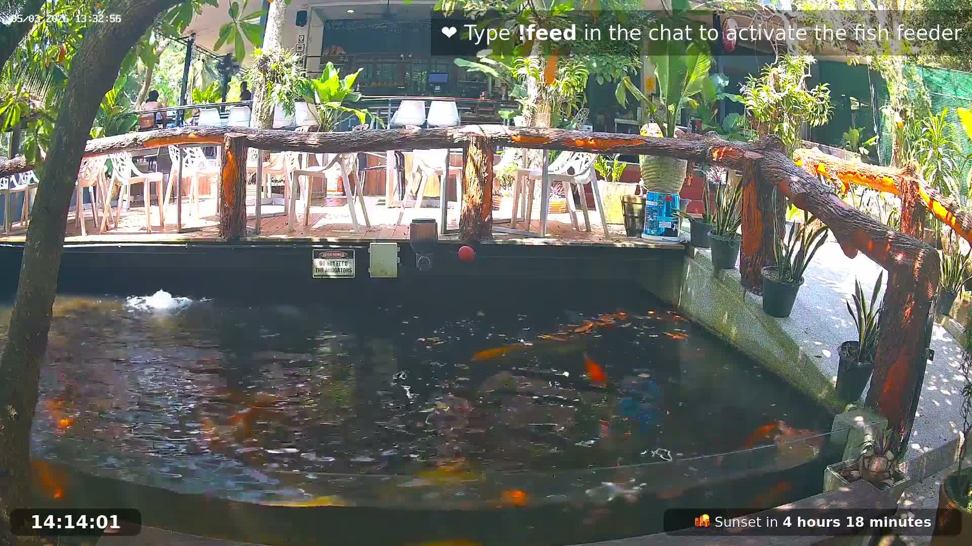 Zoo Cafe · Feed the Life of Fishes, Emus, Deers, Turtles, Malas  Live Cam  - Amphoe Ko Pha - Ngan, Surat Thani, Thailand