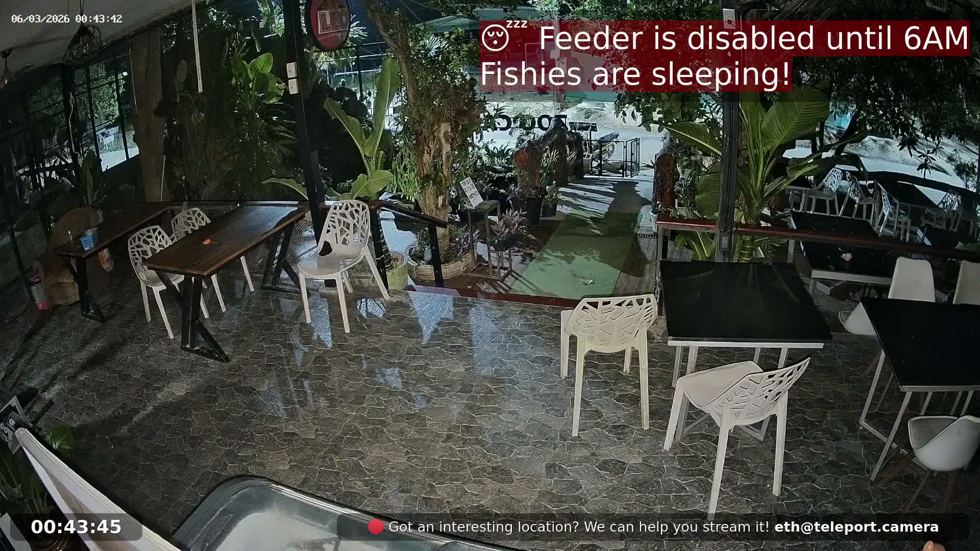 Zoo Cafe · Feed the Life of Fishes, Emus, Deers, Turtles, Malas  Live Cam  - Amphoe Ko Pha - Ngan, Surat Thani, Thailand
