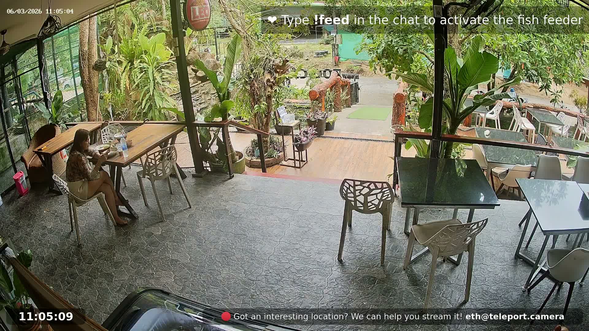 Zoo Cafe · Feed the Life of Fishes, Emus, Deers, Turtles, Malas  Live Cam  - Amphoe Ko Pha - Ngan, Surat Thani, Thailand