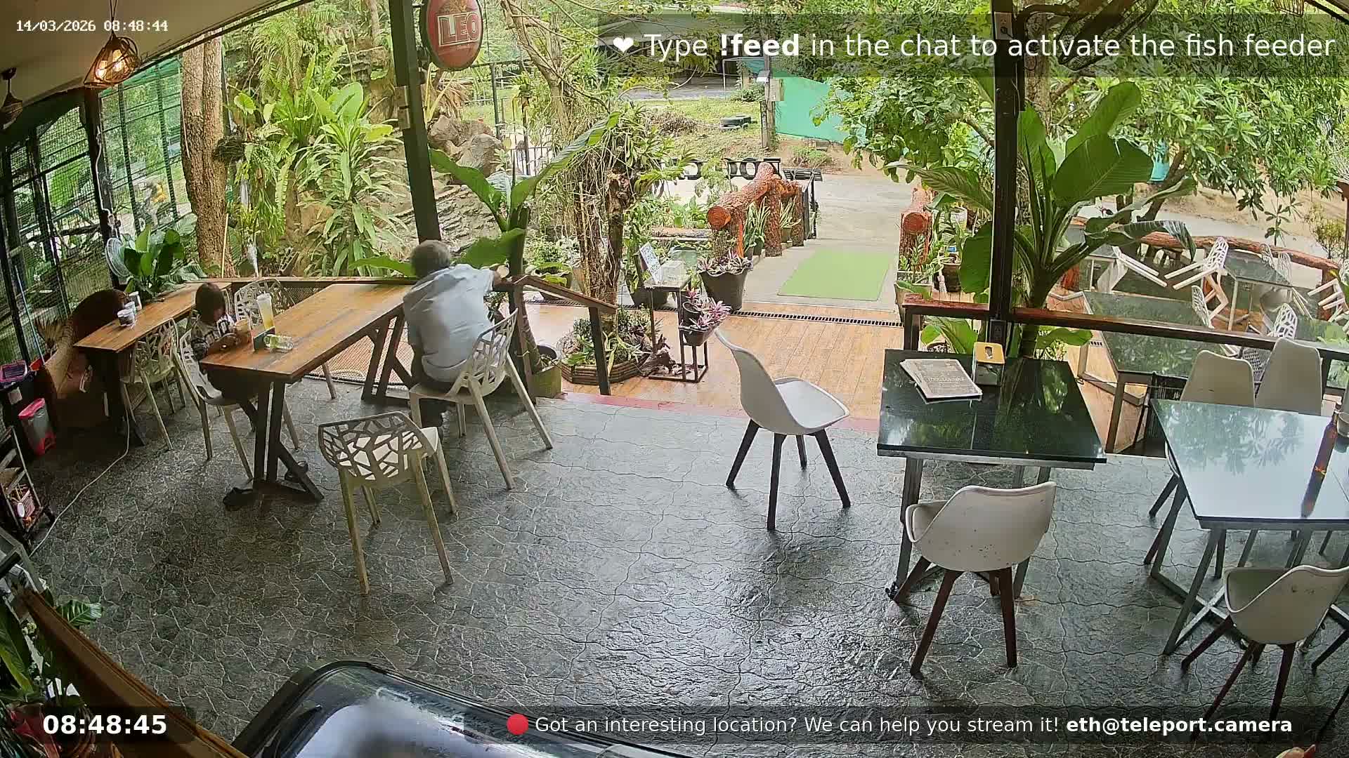 Zoo Cafe · Feed the Life of Fishes, Emus, Deers, Turtles, Malas  Live Cam  - Amphoe Ko Pha - Ngan, Surat Thani, Thailand
