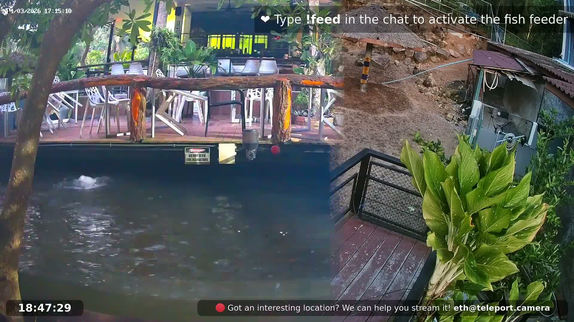 Zoo Cafe · Feed the Life of Fishes, Emus, Deers, Turtles, Malas  Live Cam  - Amphoe Ko Pha - Ngan, Surat Thani, Thailand