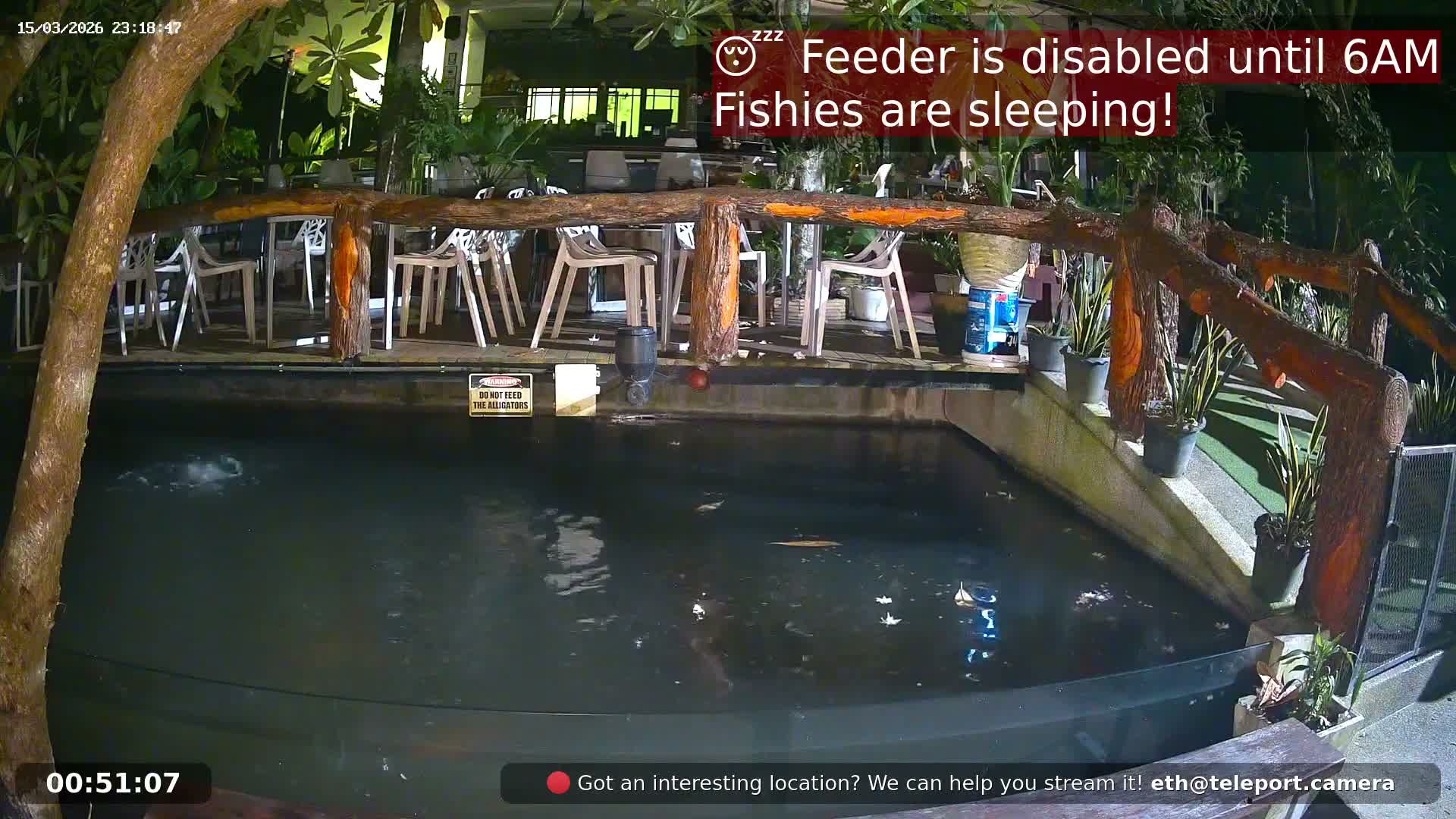 Zoo Cafe · Feed the Life of Fishes, Emus, Deers, Turtles, Malas  Live Cam  - Amphoe Ko Pha - Ngan, Surat Thani, Thailand