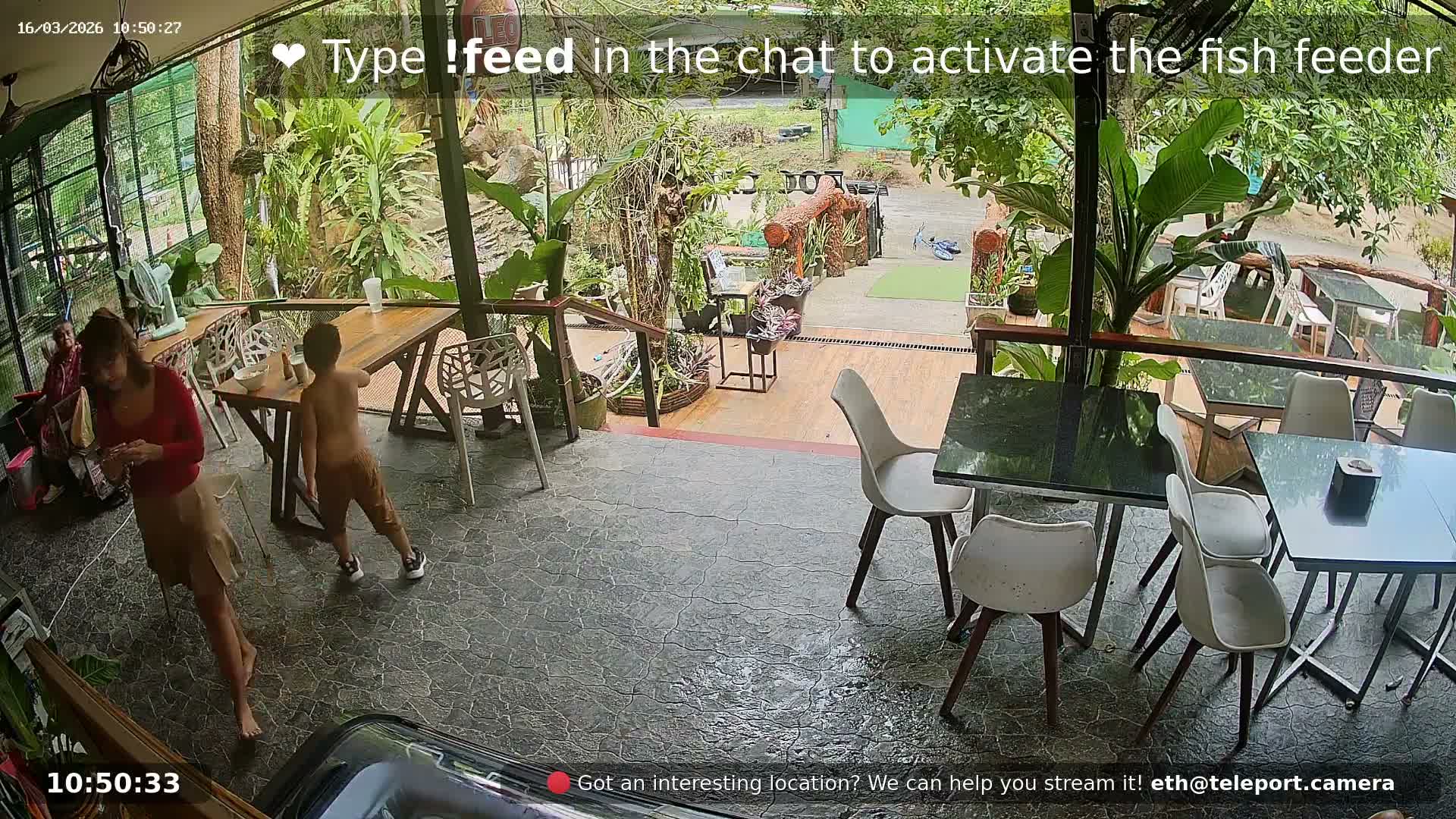 Zoo Cafe · Feed the Life of Fishes, Emus, Deers, Turtles, Malas  Live Cam  - Amphoe Ko Pha - Ngan, Surat Thani, Thailand